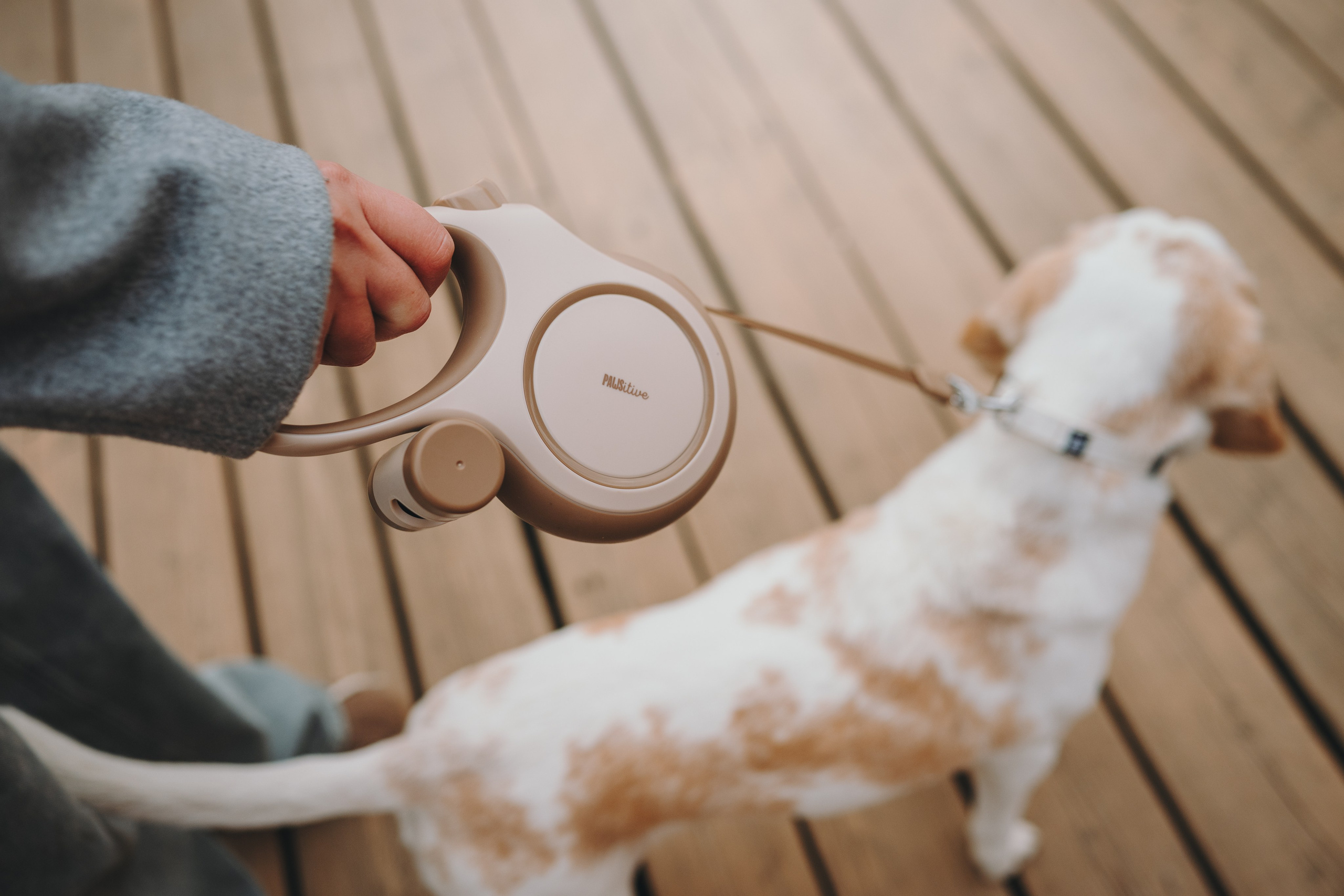 Pawsitive. Семейный фотограф анималист Ананьева Мария — Москва