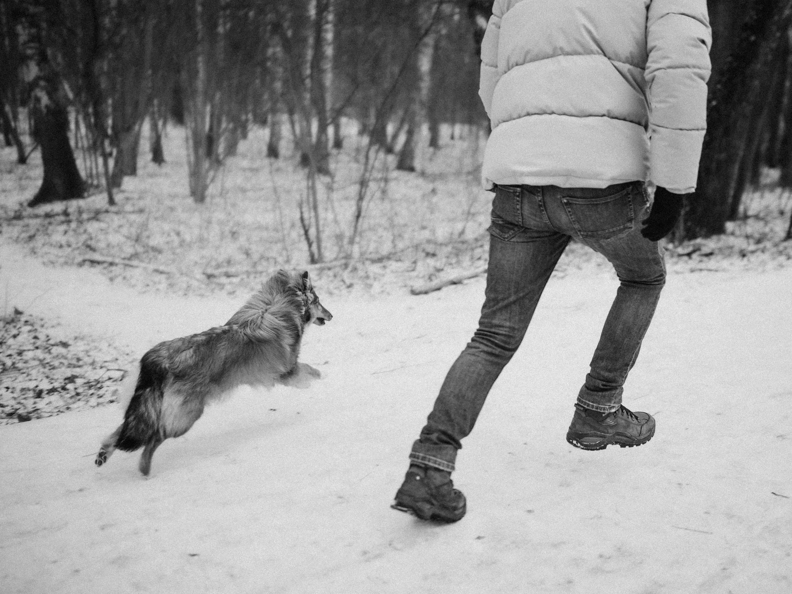 Дарья, Стас и Спика. Семейный фотограф анималист Ананьева Мария — Москва