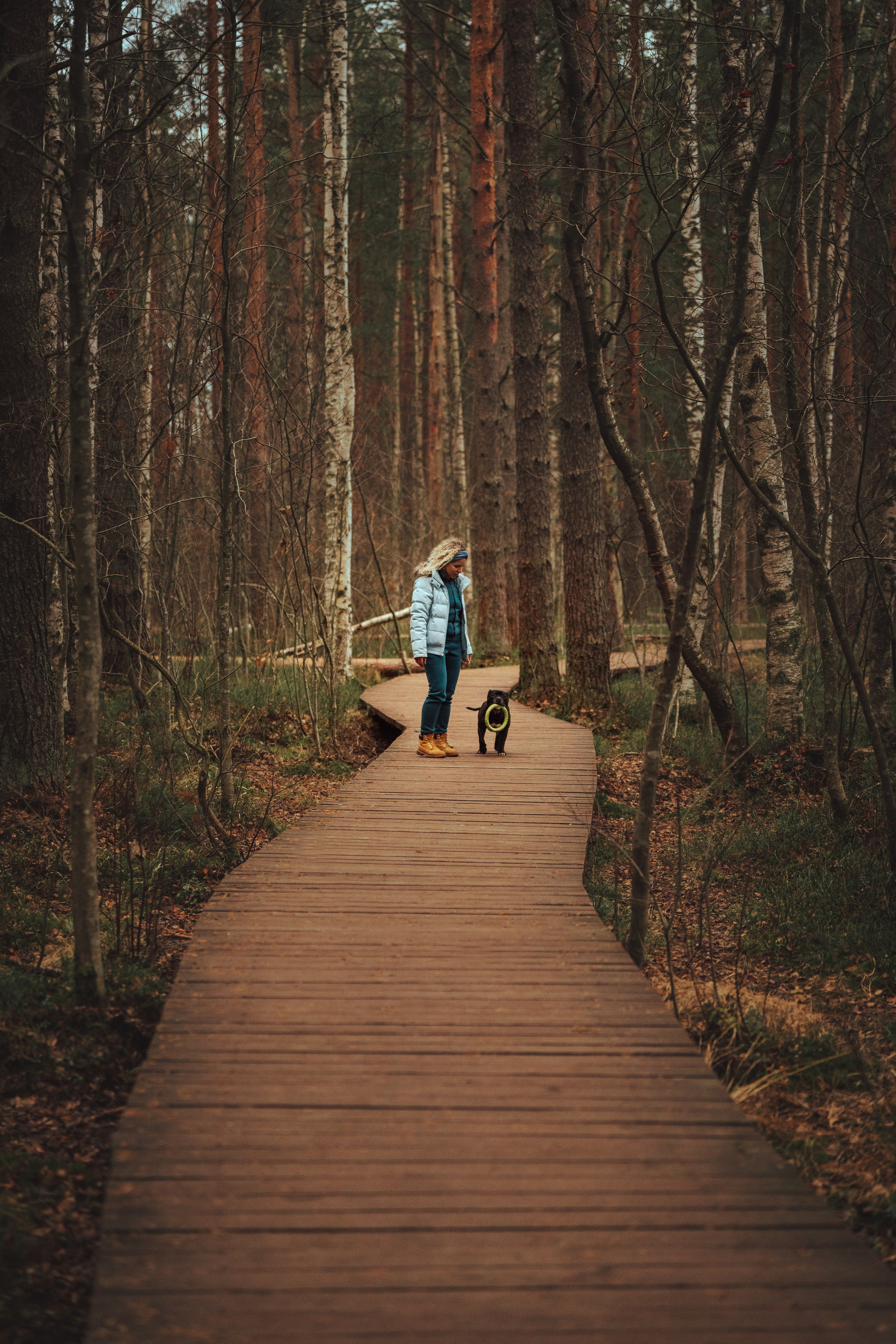 Фотограф анималист в Санкт-Петербурге. Фотограф анималист в Спб недорого Олеся Майорова