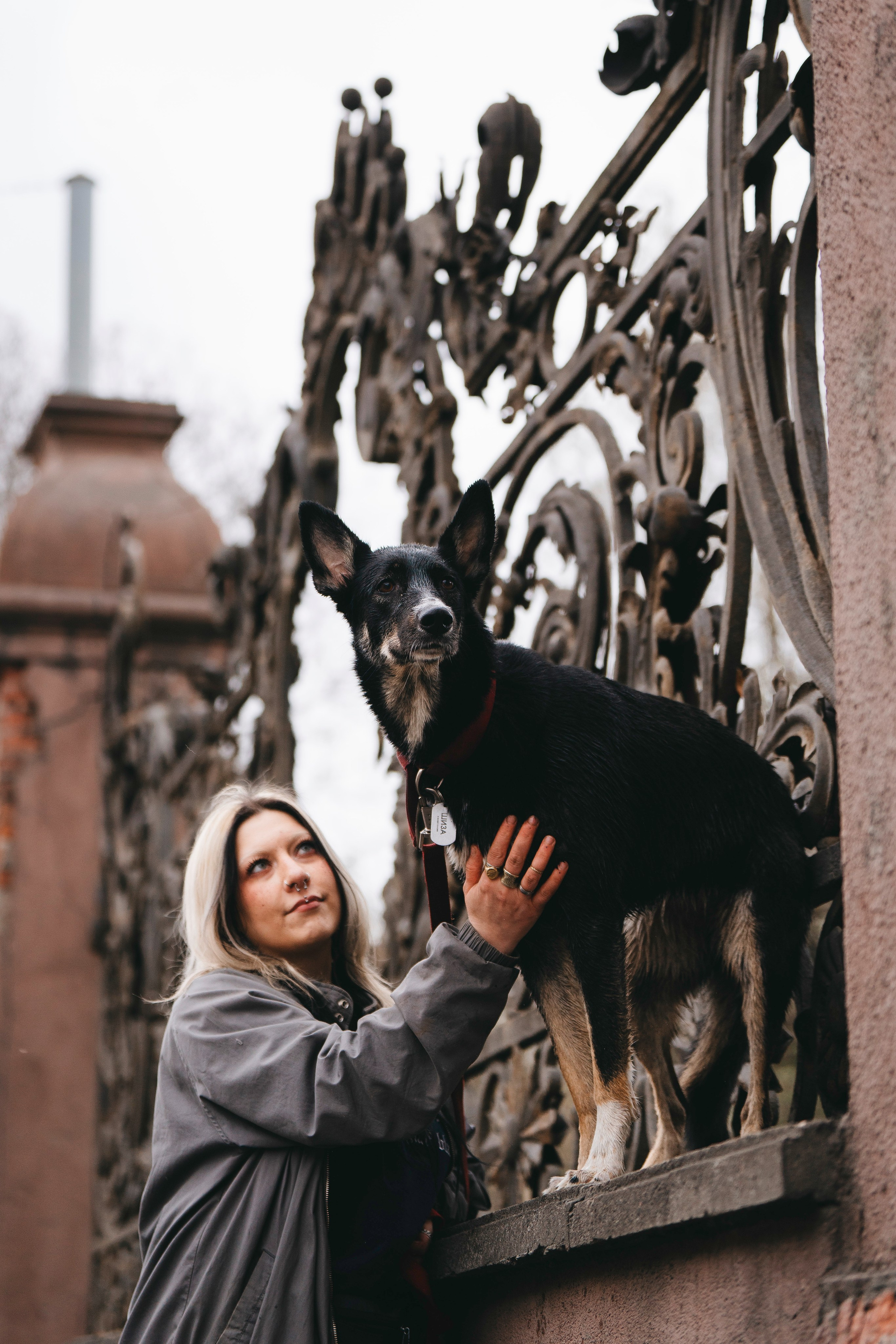 Эля и Шиза. Фотограф анималист в Спб недорого Олеся Майорова