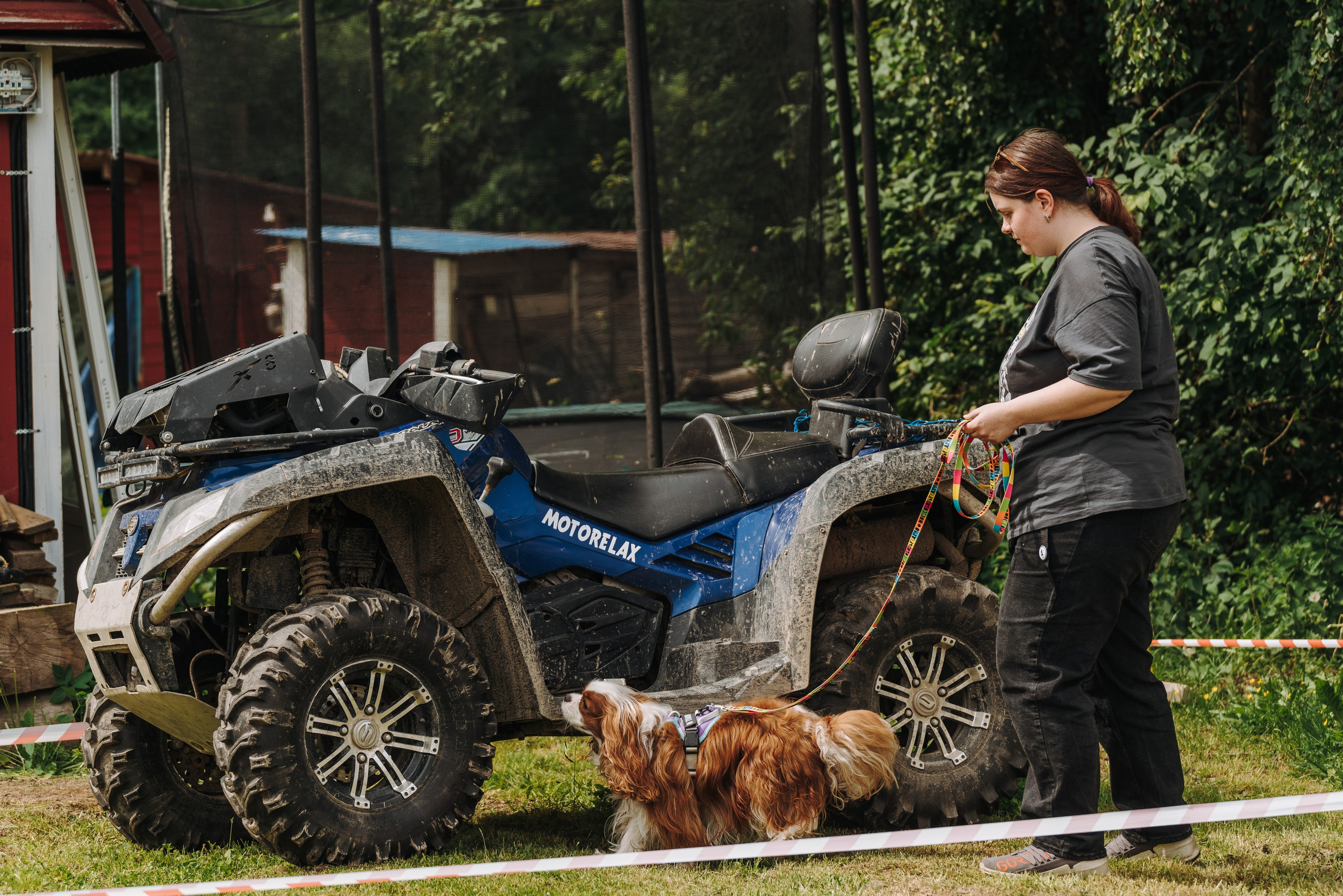 Соревнования по ноузворку. Фотограф анималист в Спб недорого Олеся Майорова