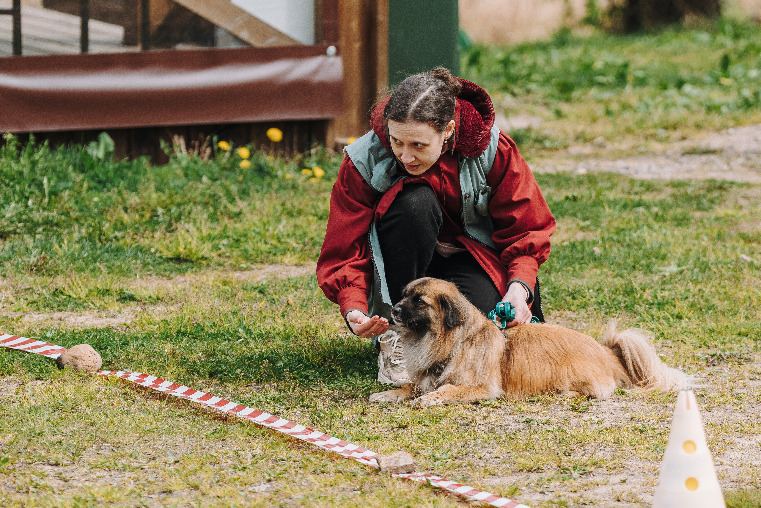 Соревнования по ноузворку в Лосево. Фотограф анималист в Спб недорого Олеся Майорова
