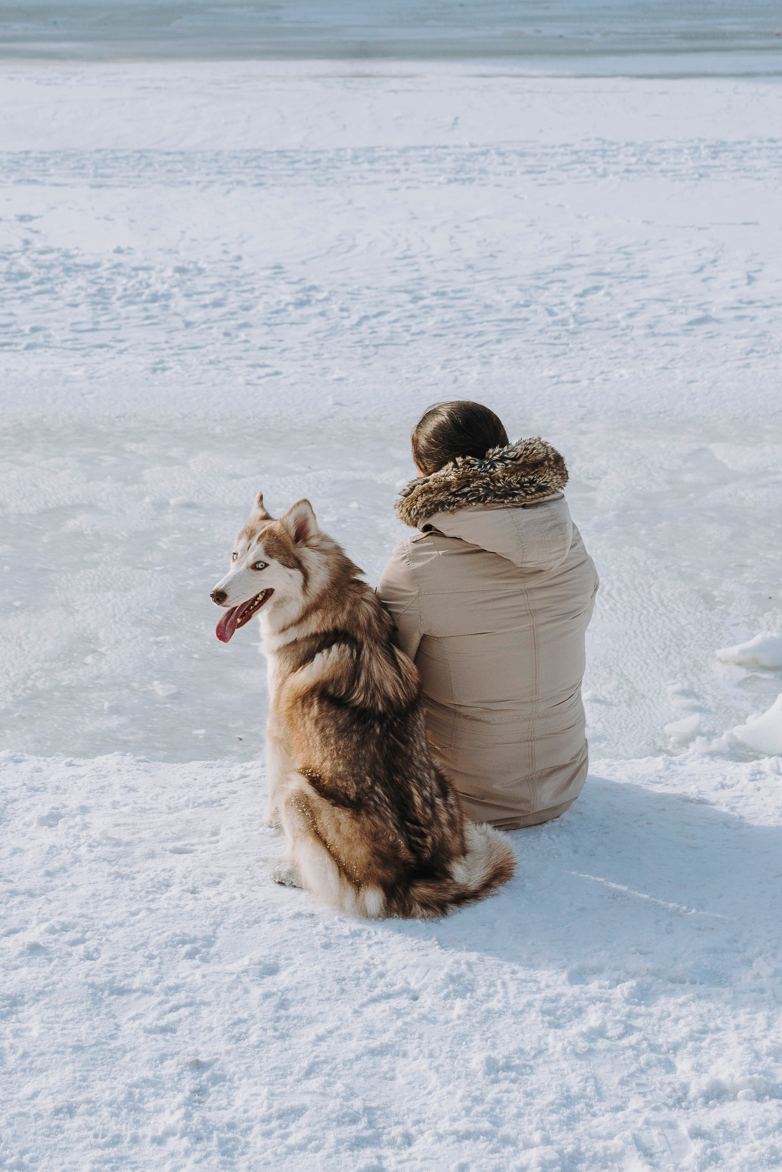 Мария и Амелия. Фотограф анималист в Спб недорого Олеся Майорова