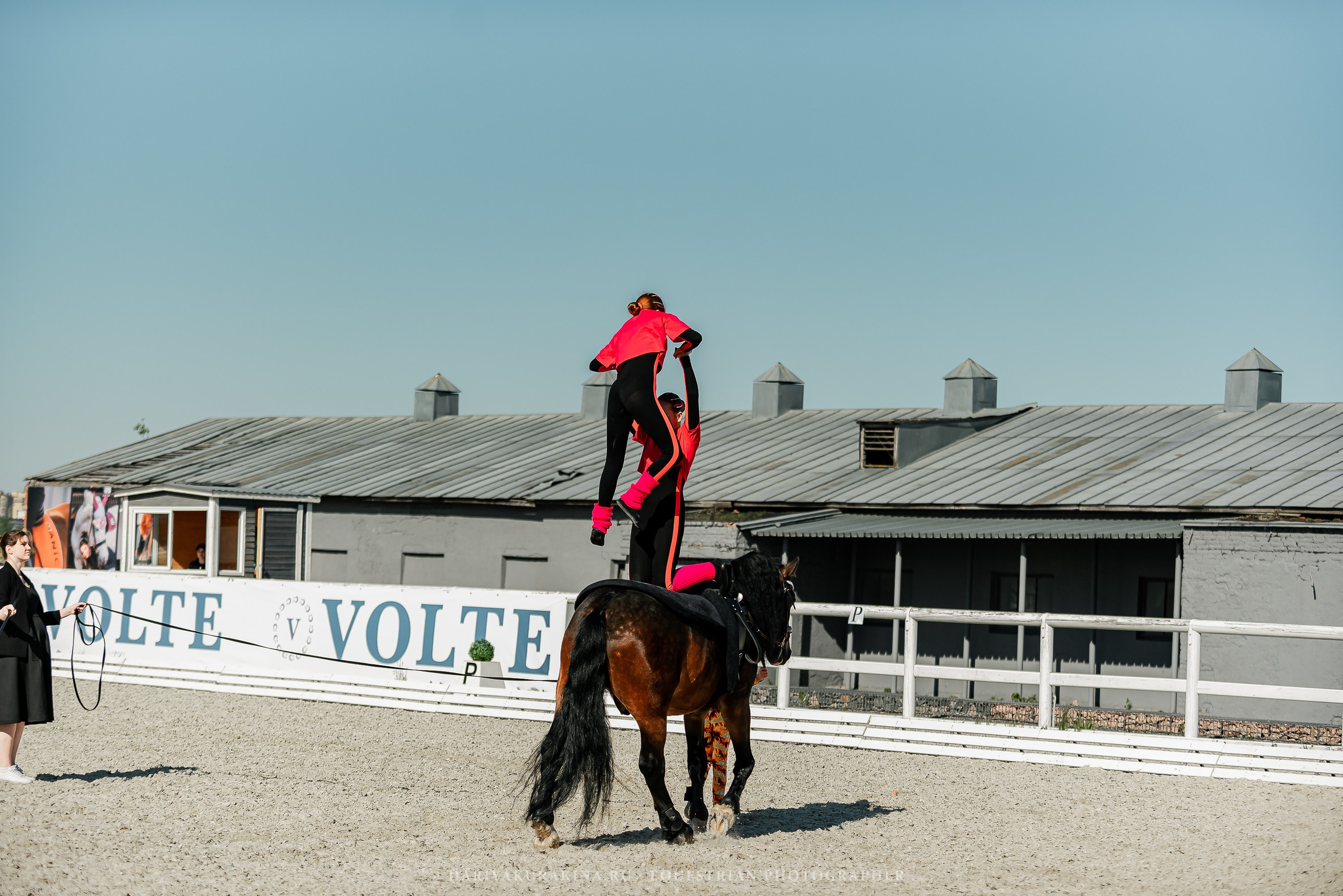 РЕПОРТАЖ МКК ВОЛЬТ «LA TULIPS». Конный фотограф Куракина Дарья • Фотосессии с лошадьми