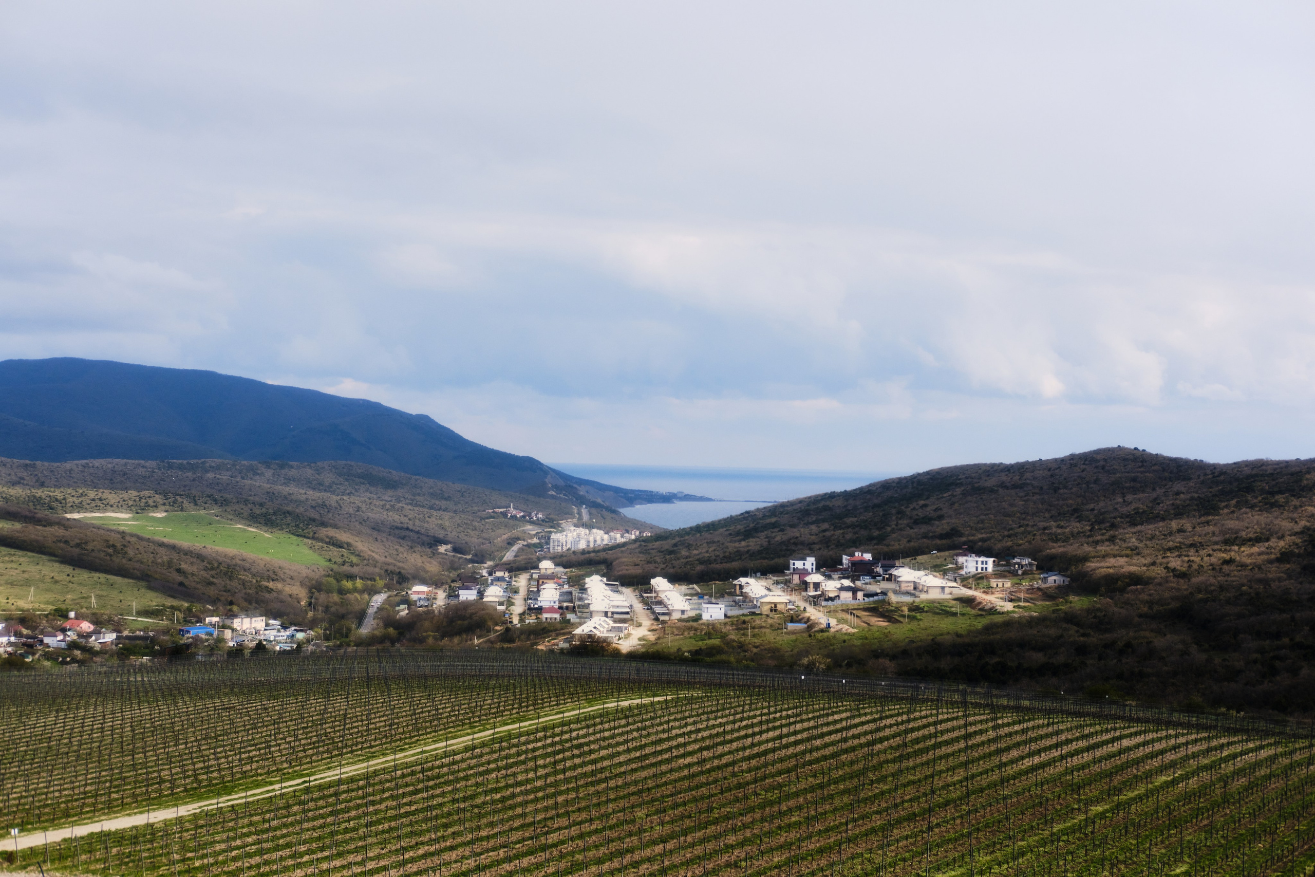 Vine. Фотограф в Анапе и Краснодаре Тина