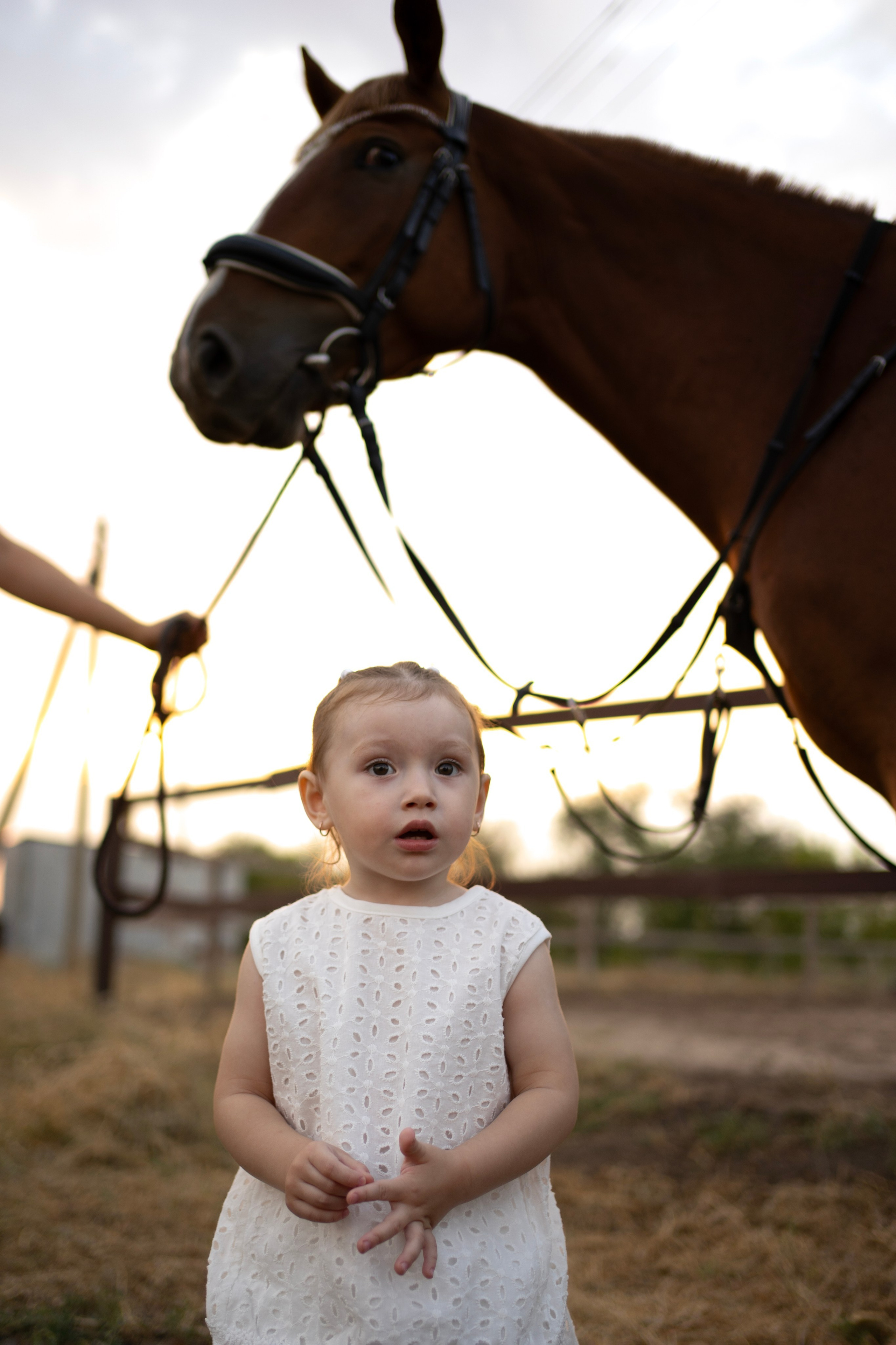 Семейная. Фотограф Новошахтинск|Ростов, Дарья Секрий