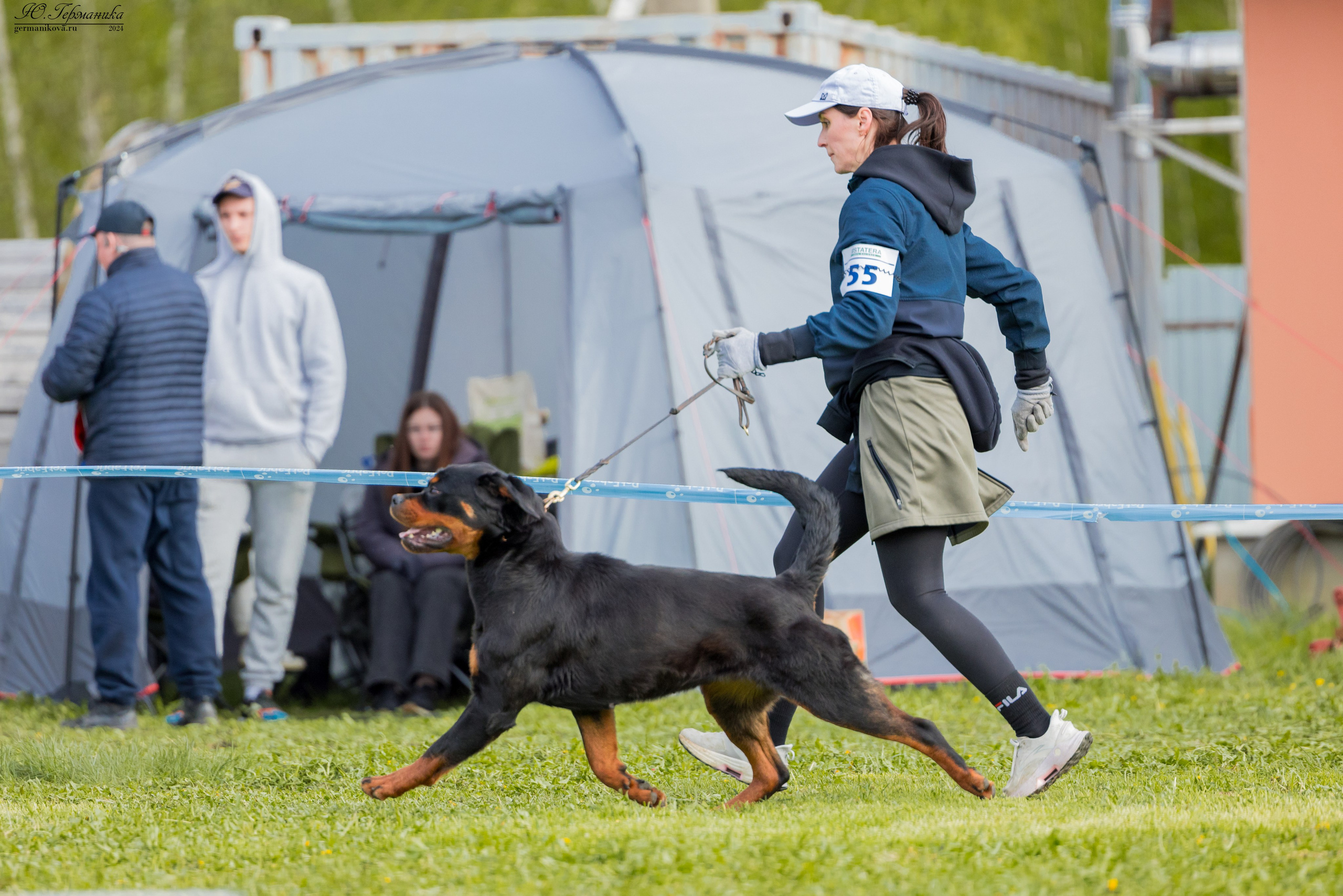 Нижний Новгород 11-12.05.2024 моно ротвейлеров. Фотограф-анималист Юлия Германика
