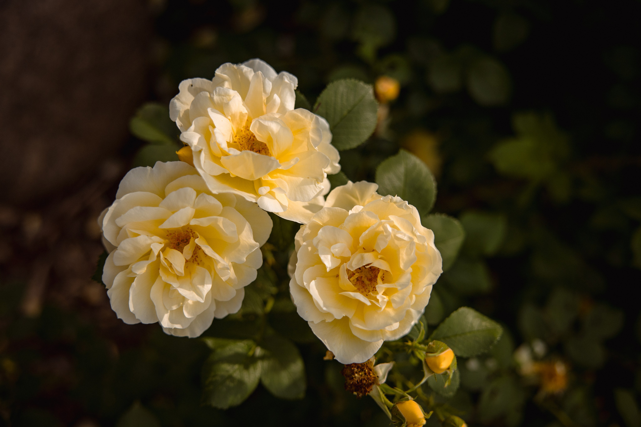 Настя с сыном у Alma-Mater. Ваш семейный newborn и lifestyle фотограф в СПБ Наталья Журавлева