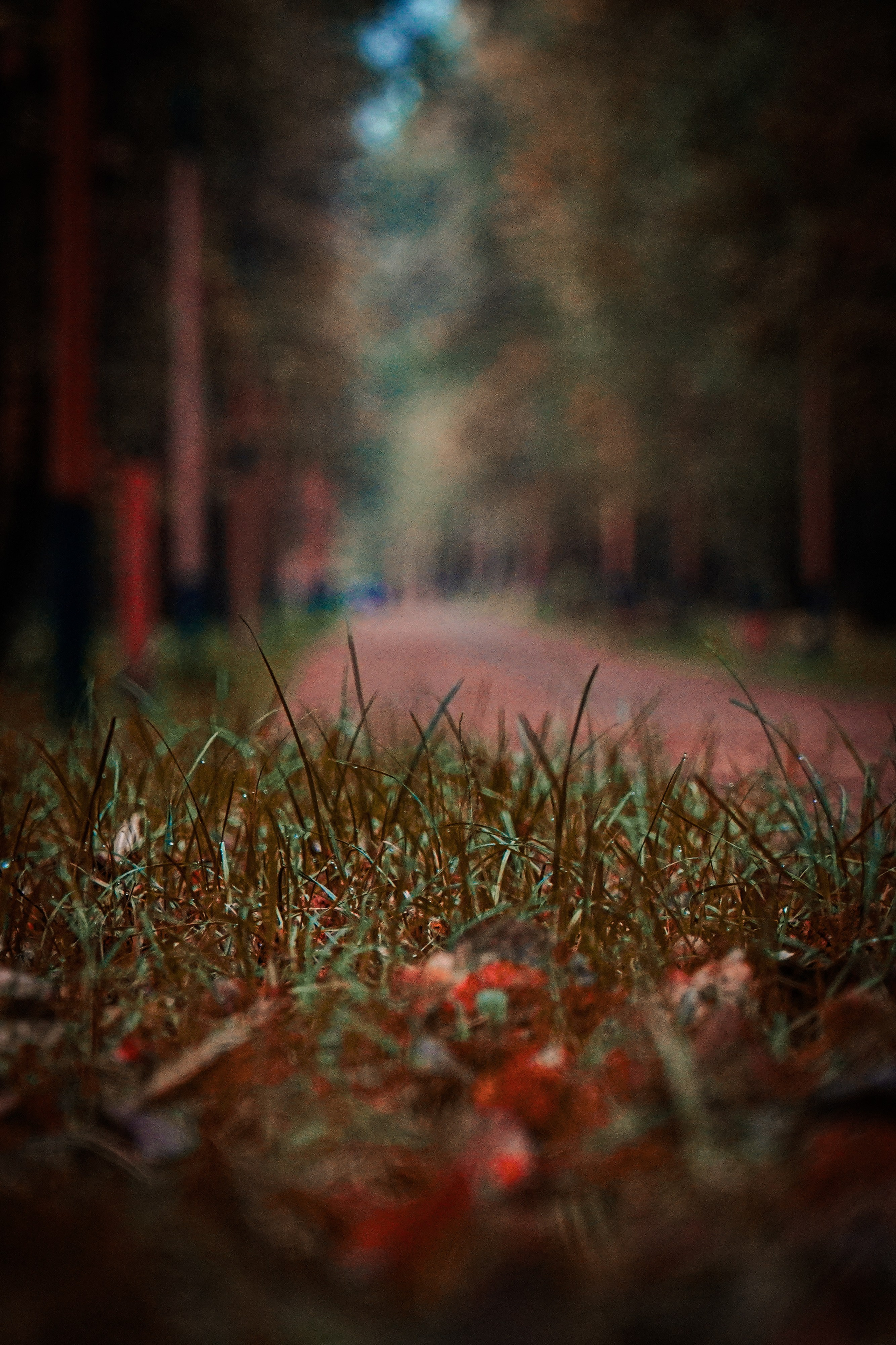 100-й забег 5 вёрст Томилинский. Роман Капилюшов. Бег. Фото. Видео. г. Люберцы