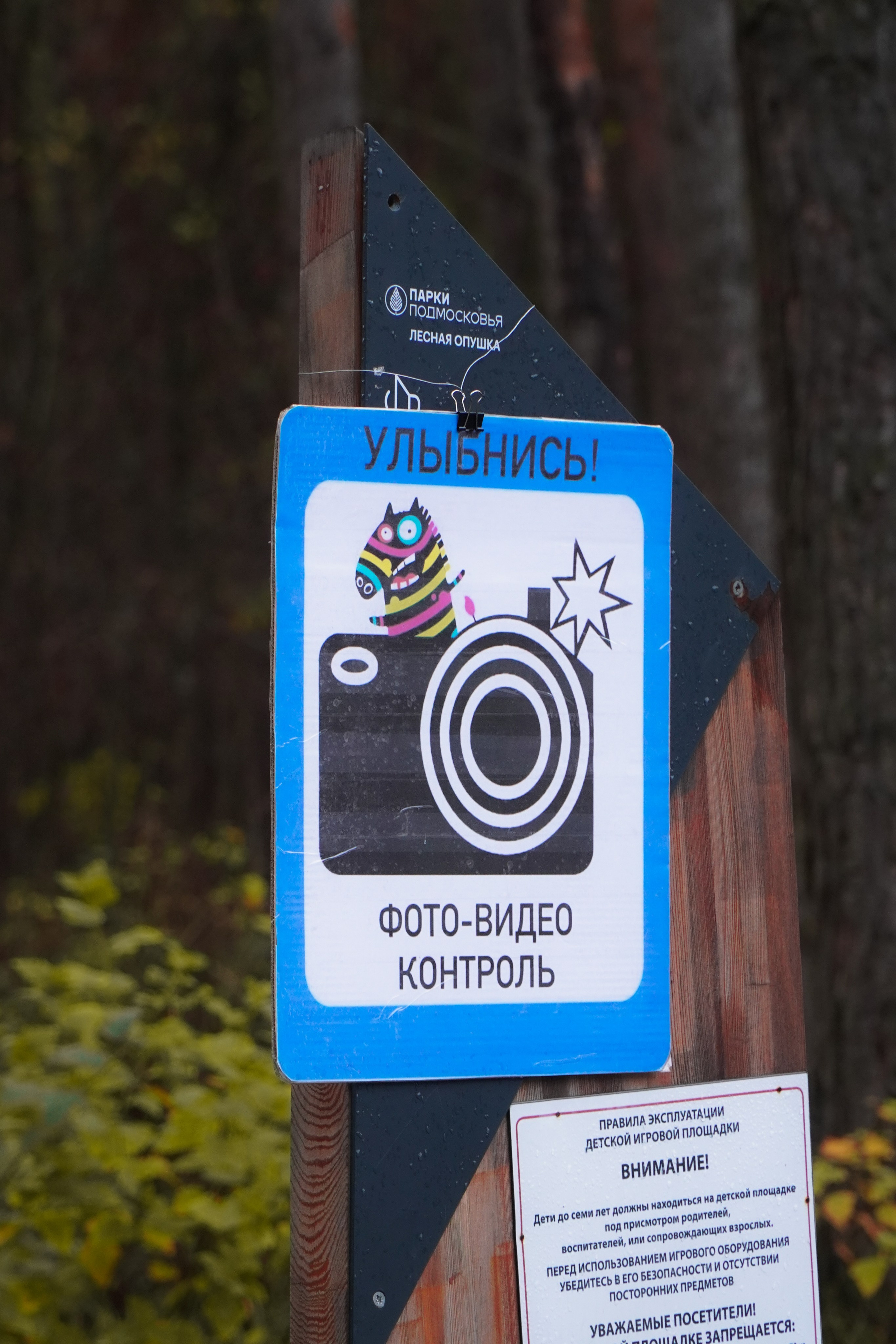 5 вёрст Томилинский 3 года 18 октября 2025. Роман Капилюшов. Бег. Фото. Видео. г. Люберцы