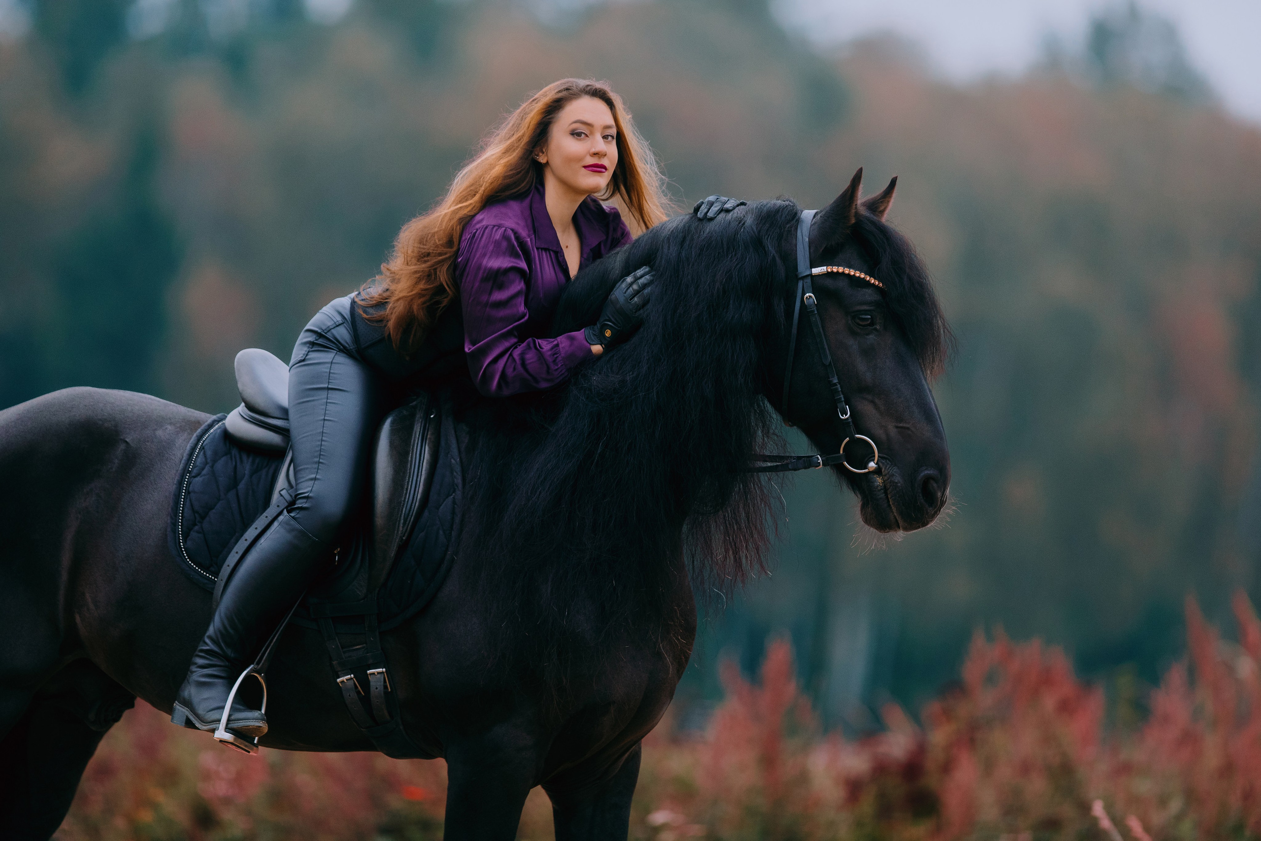 Маша и Брабус. Фотограф-анималист Ксендзова Кристина