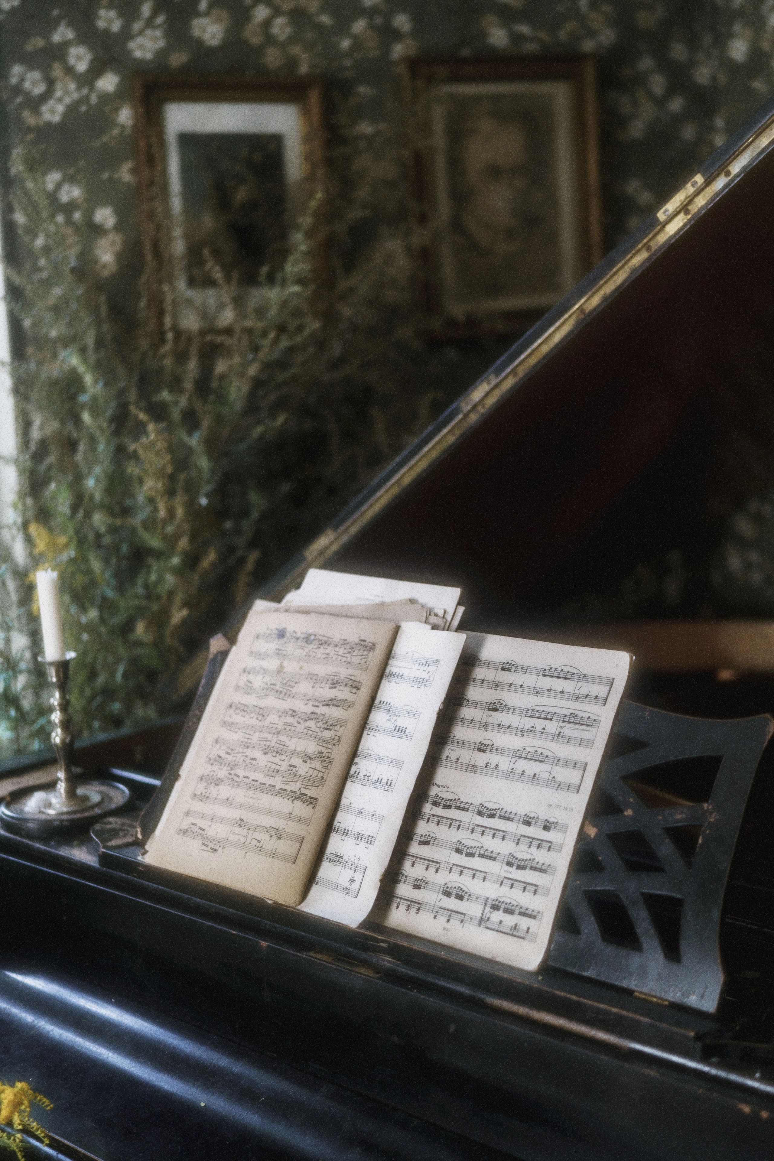 Подмосковье. Оля. Свадебный и индивидуальный фотограф Татьяна Гуляева