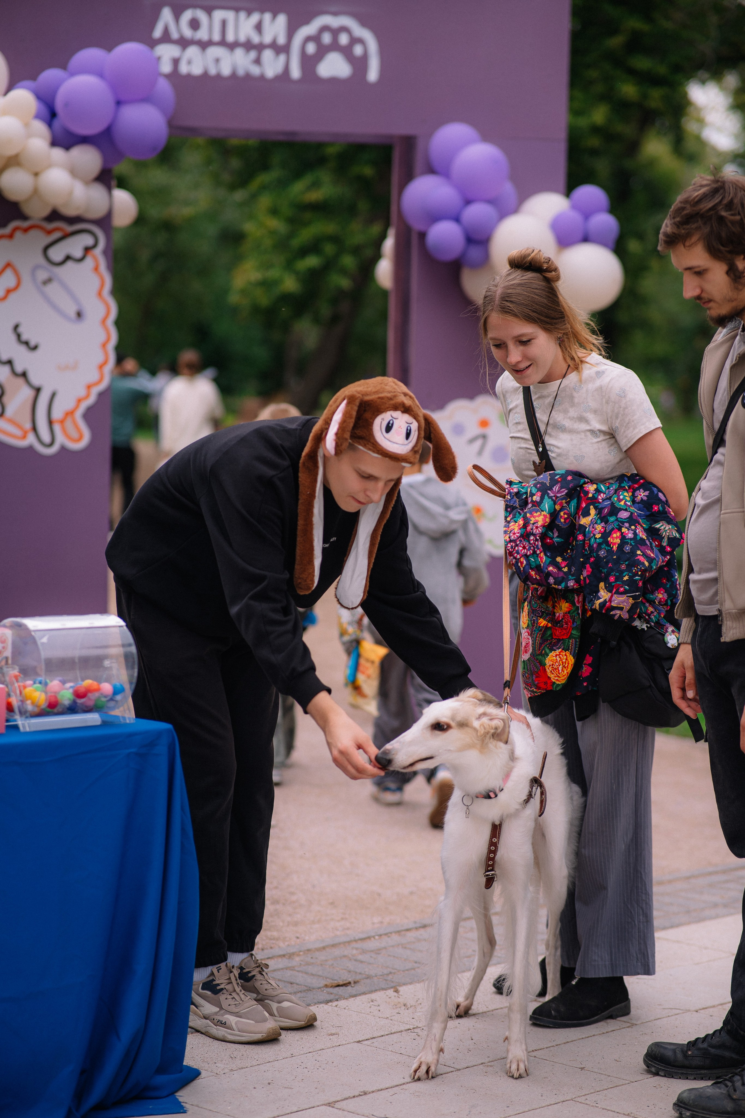Фотоотчет ЛАПКИ ТАПКИ в Барнауле. Репортажный (Event) фотограф в Барнауле | Даниил Маркин | Качество и вайб
