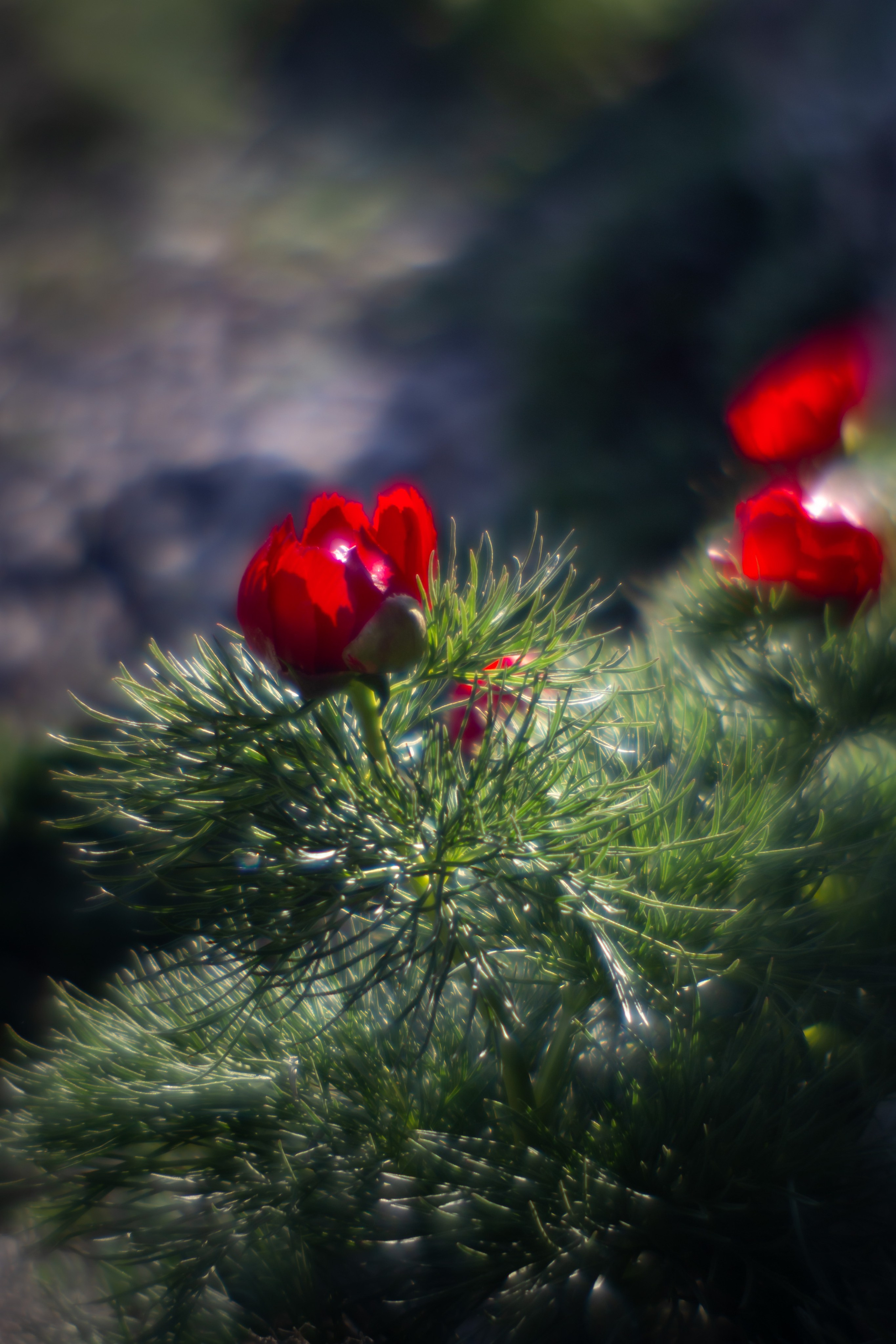 Крымские зарисовки. Фотограф в Москве Лера Юдина