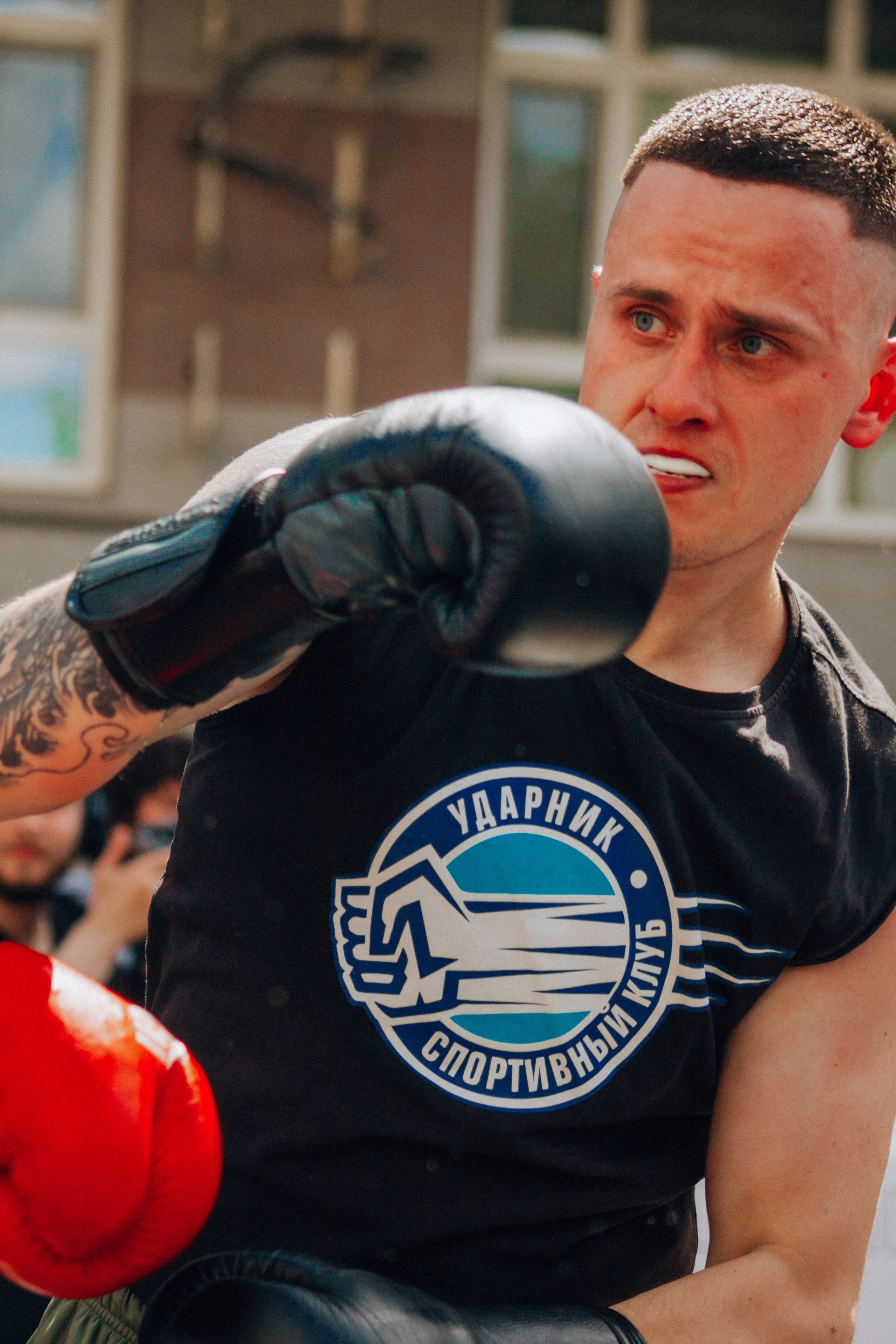 Открытый ринг. Анастасия Тен