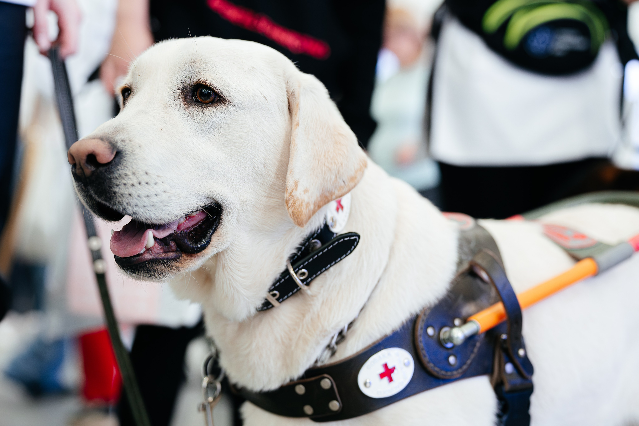 Абилимпикс 2025. Коммерческий фотограф в Санкт-Петербурге Анна Кобзарь
