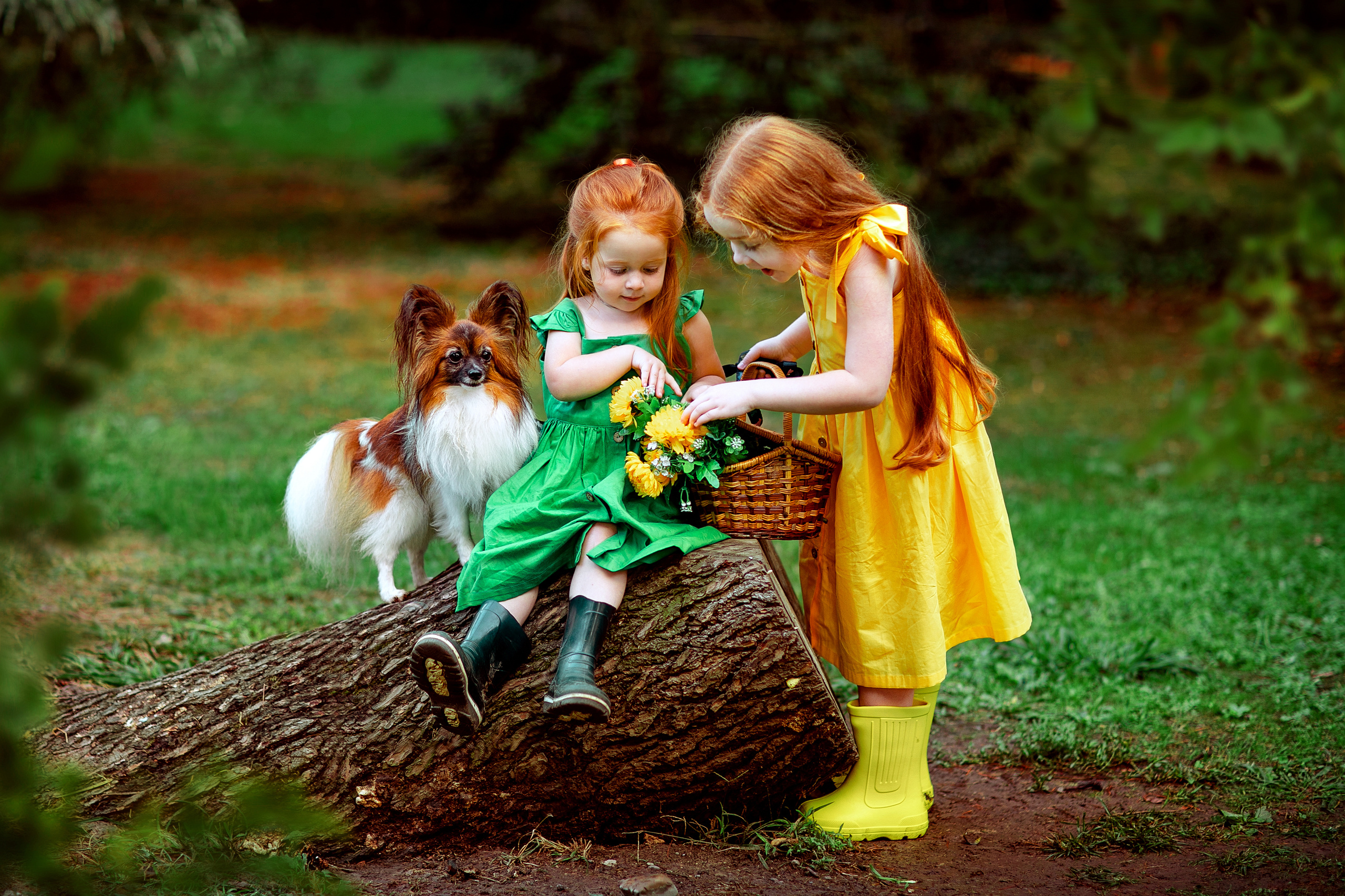 Детские. Фотограф Сочи. Фотосессии, фотокниги, обучение фотографии