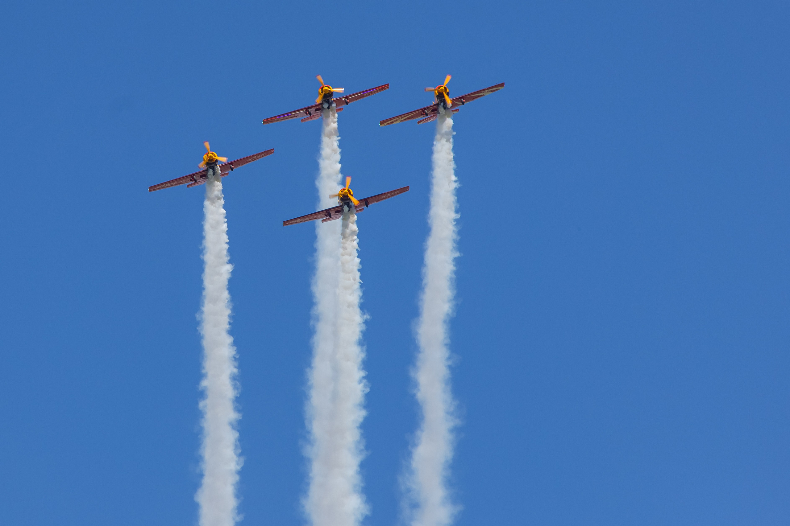 Крылья Пармы 2025 г. KATERINA VINOKUROVA ФОТОГРАФ ПЕРМЬ