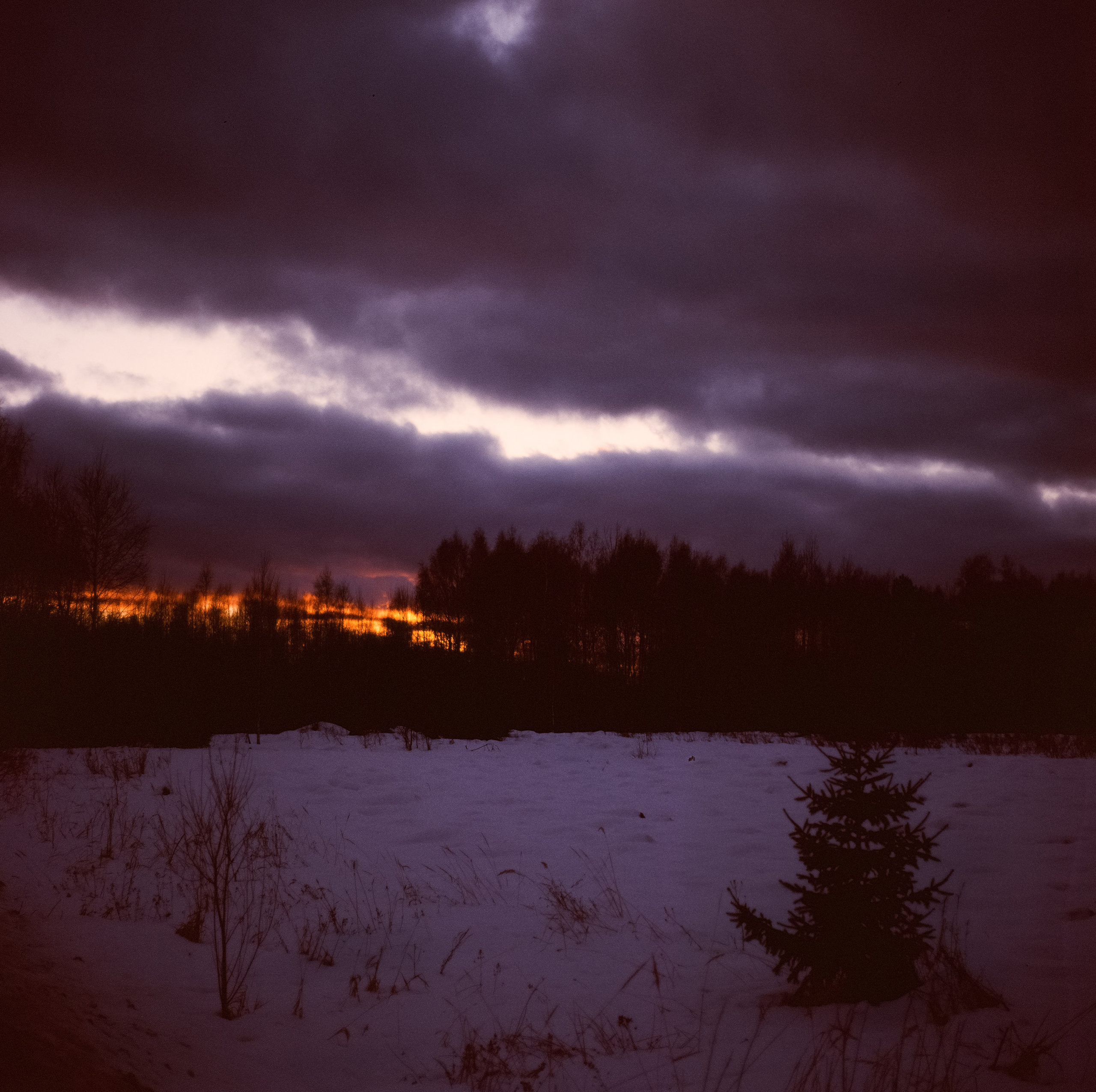 Kowa Six - Kowa 85mm f/2.8 (gray) Kodak Ektachrome E200