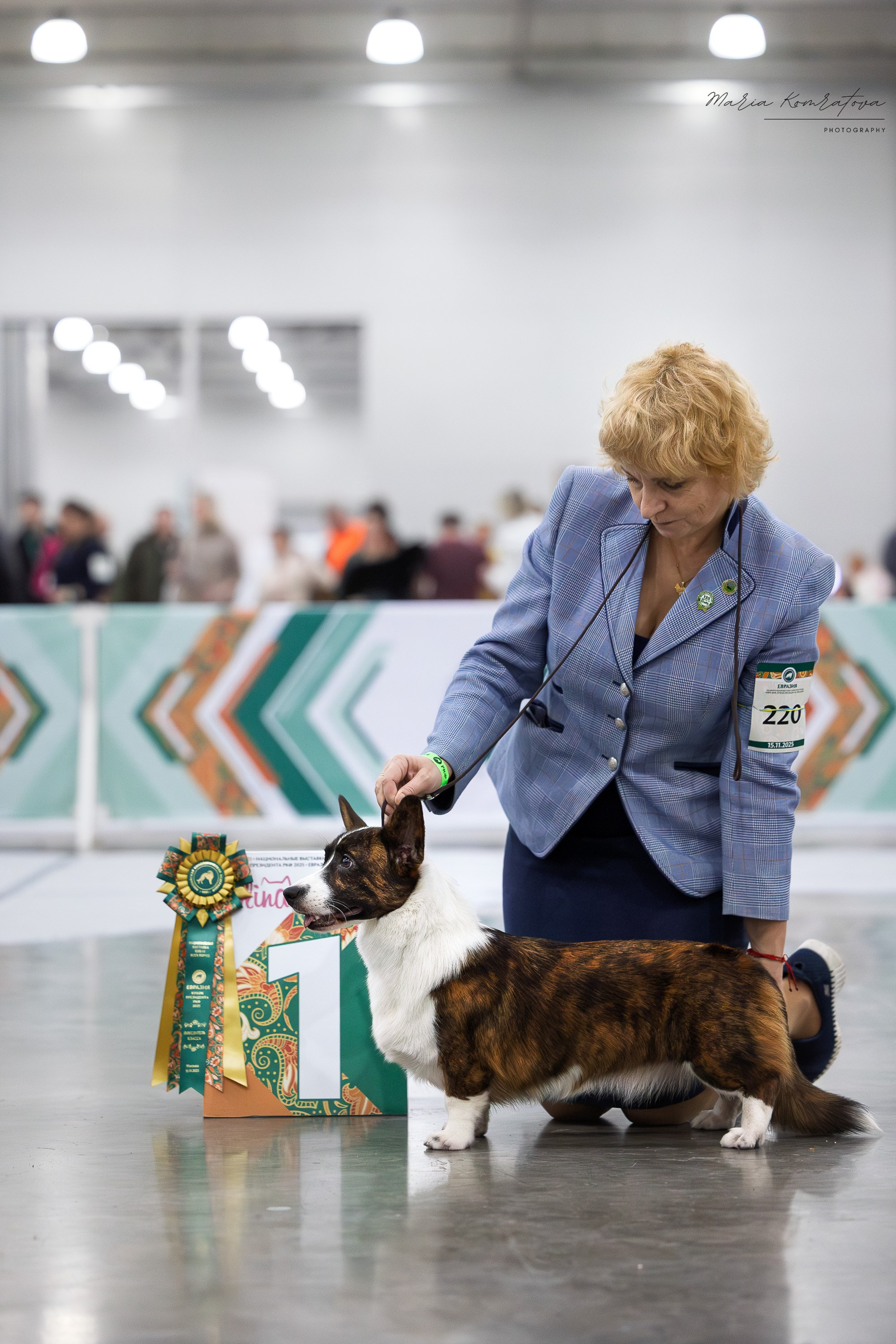 Евразия 2025 съемка в ринге на выставке собак, фотограф собак на выставке. Фотограф анималист, семейный фотограф, фотограф собак Комратова Мария. г. Москва