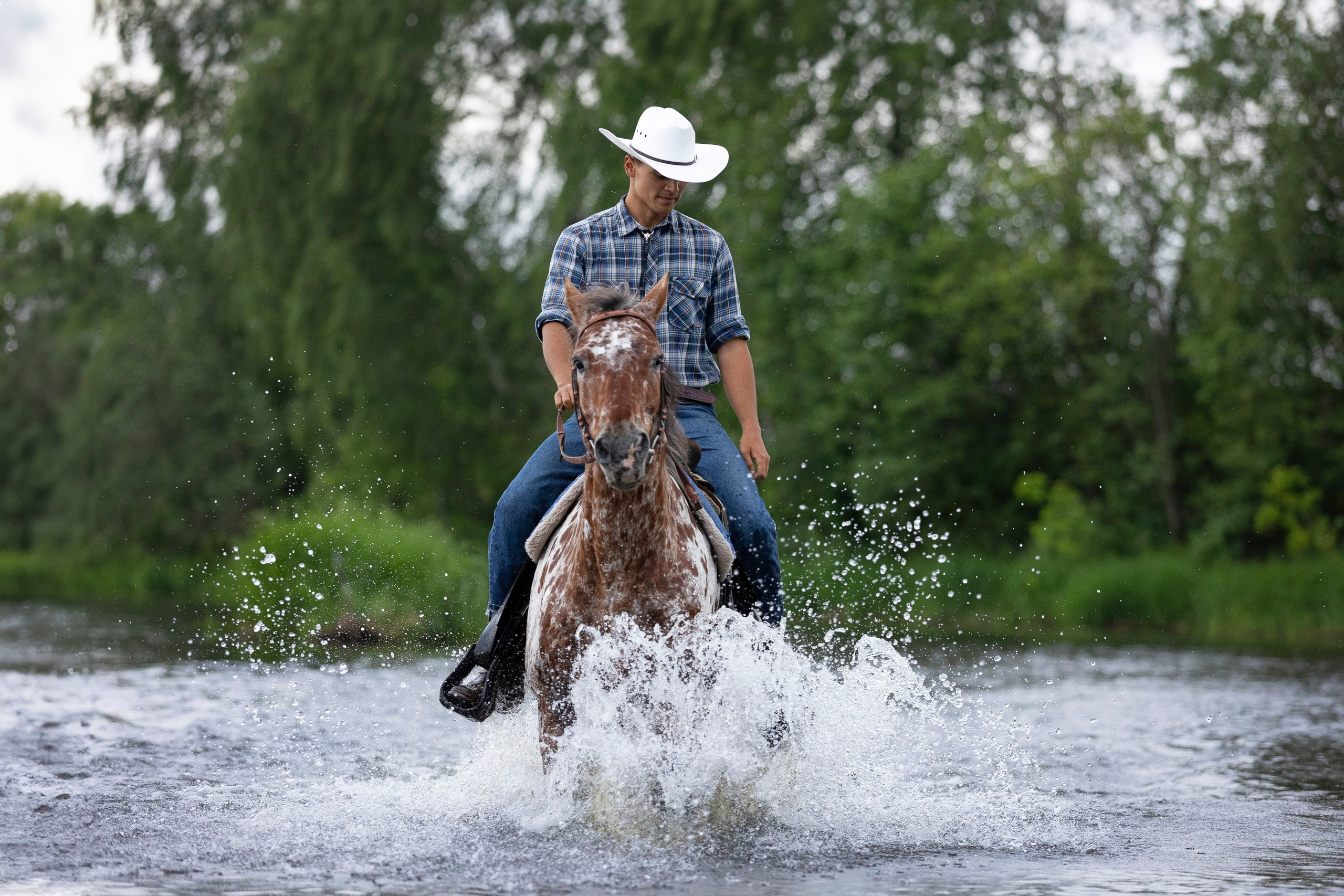 Аванпост. Фотограф анималист, семейный фотограф, фотограф собак Комратова Мария. г. Москва