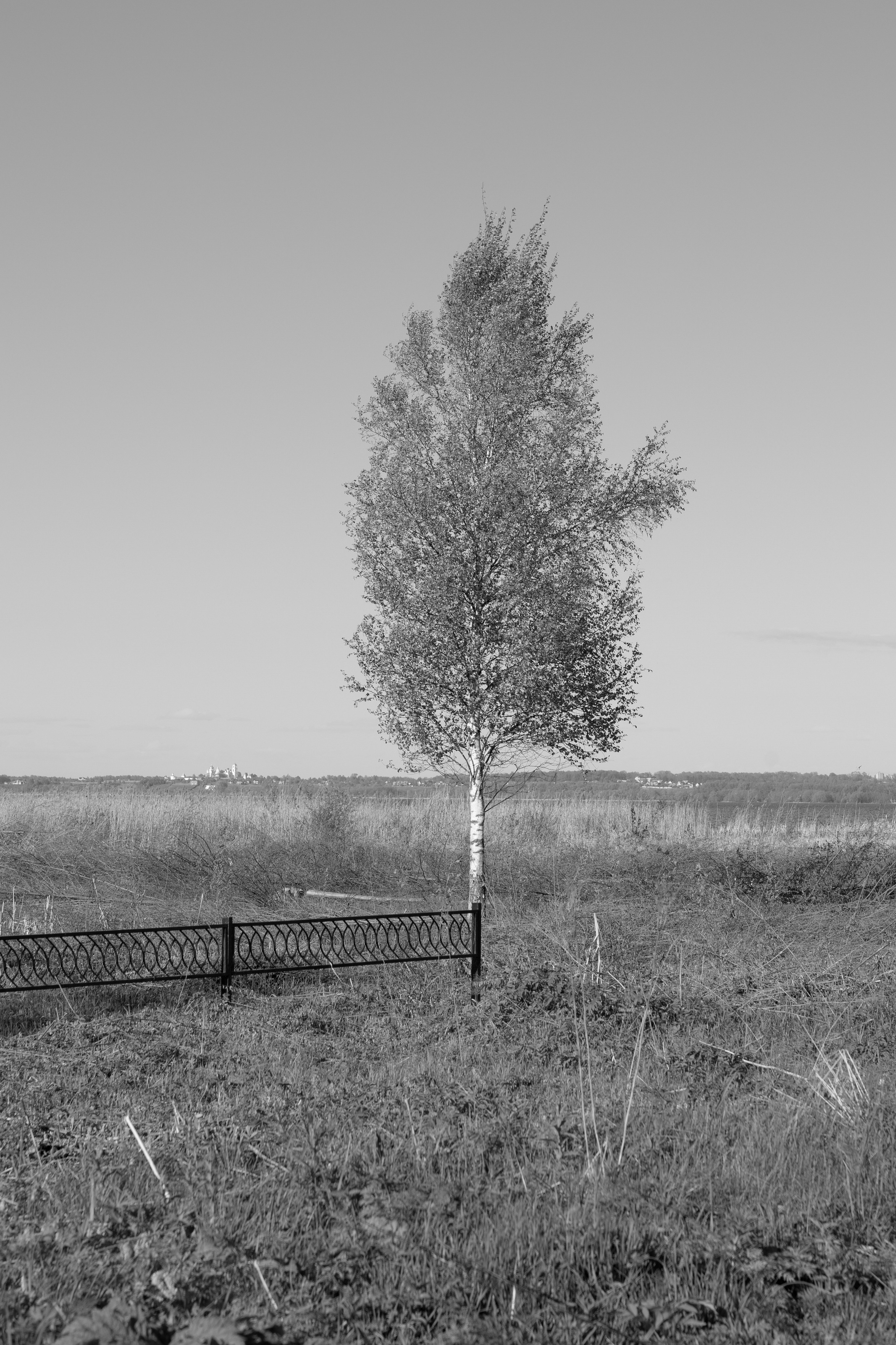 Art prints. Фотограф алина стерхова, алина стерхова фотограф, фотограф москва