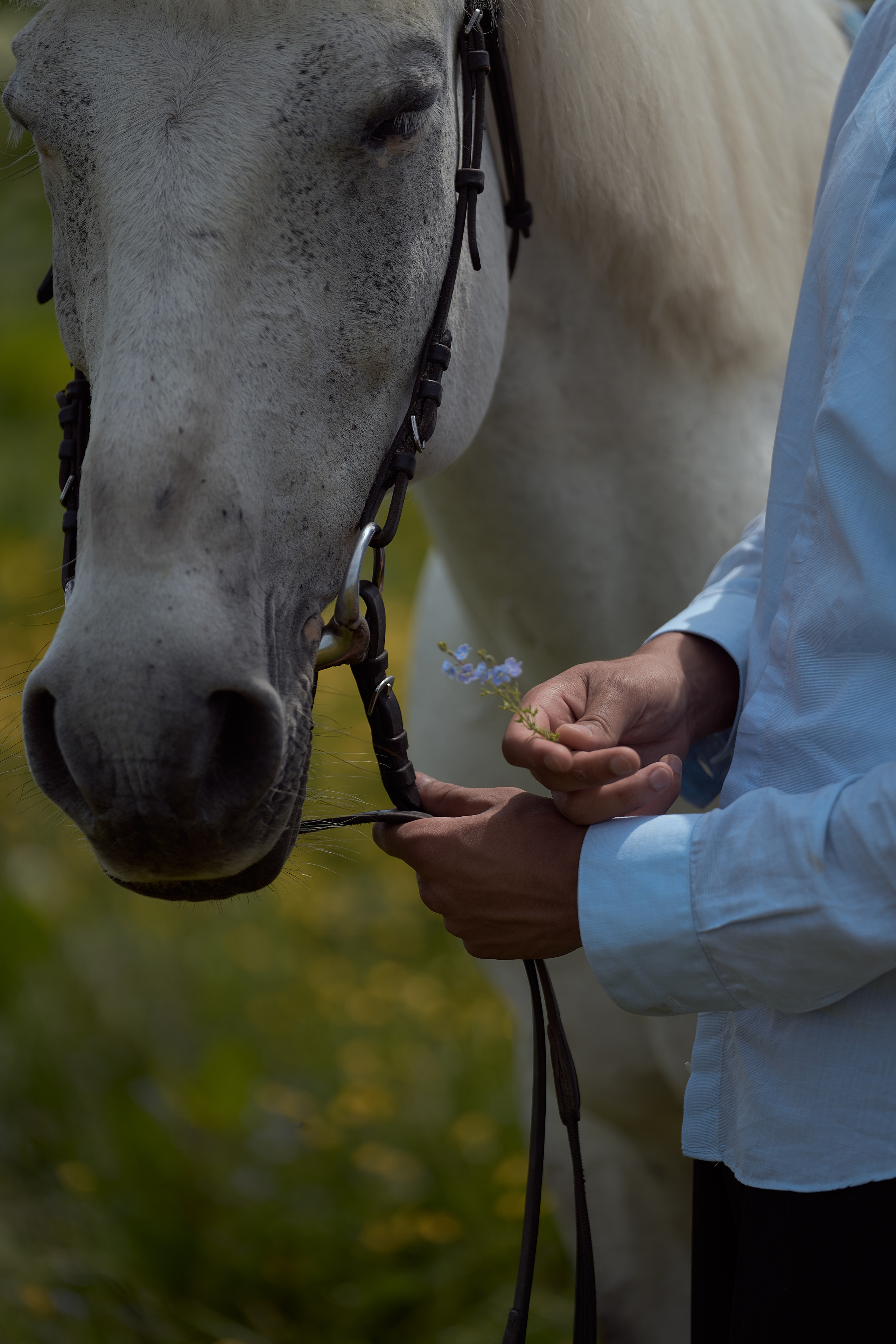 Field and outdoor photoshoot. Norman Wells photographer Ekaterina Konovalenko