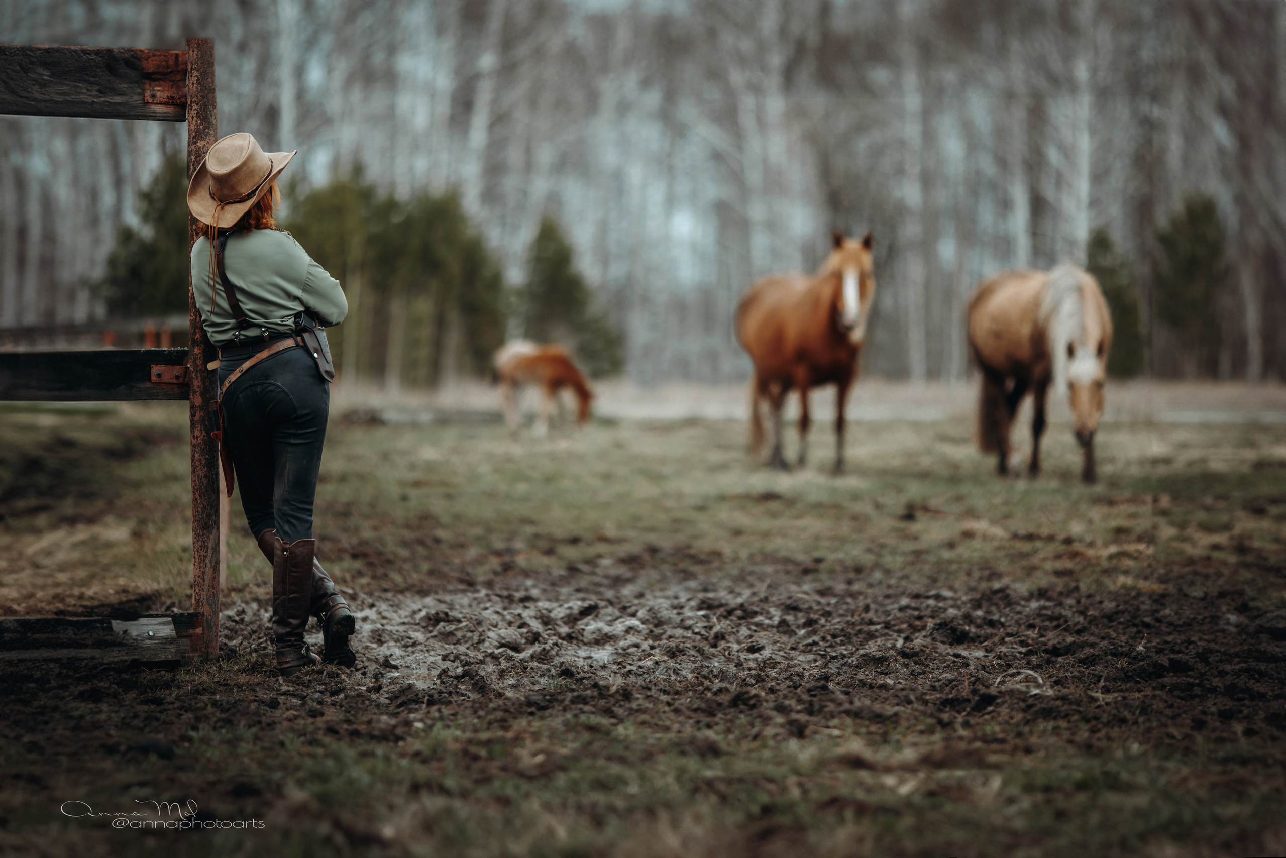 По мотивам любимой игры / РДР2. Анна Молчанова конный фотограф в Тюмени | фотосессии с лошадьми Тюмень