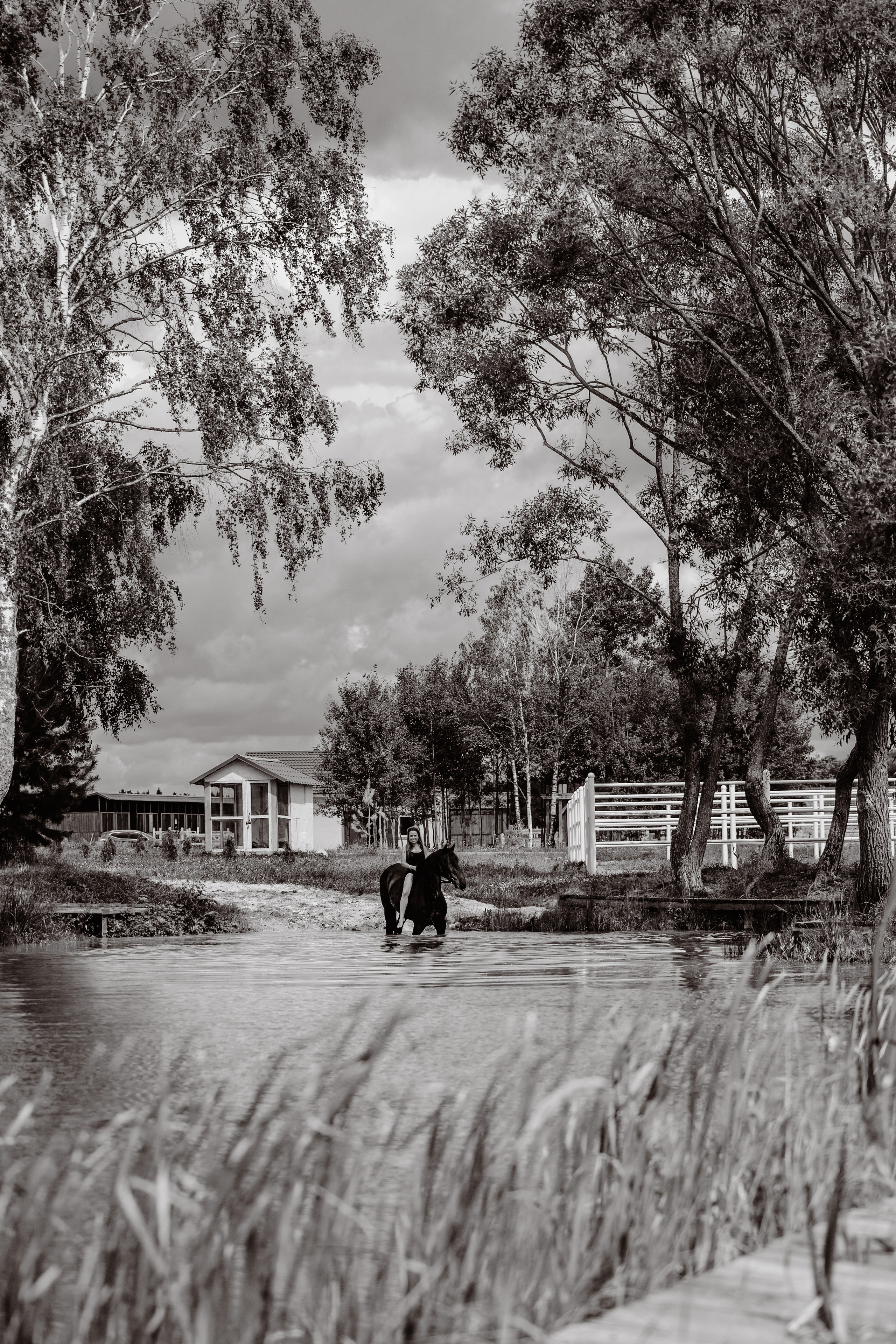 Лена и Брабус. Фотограф-анималист Ксендзова Кристина