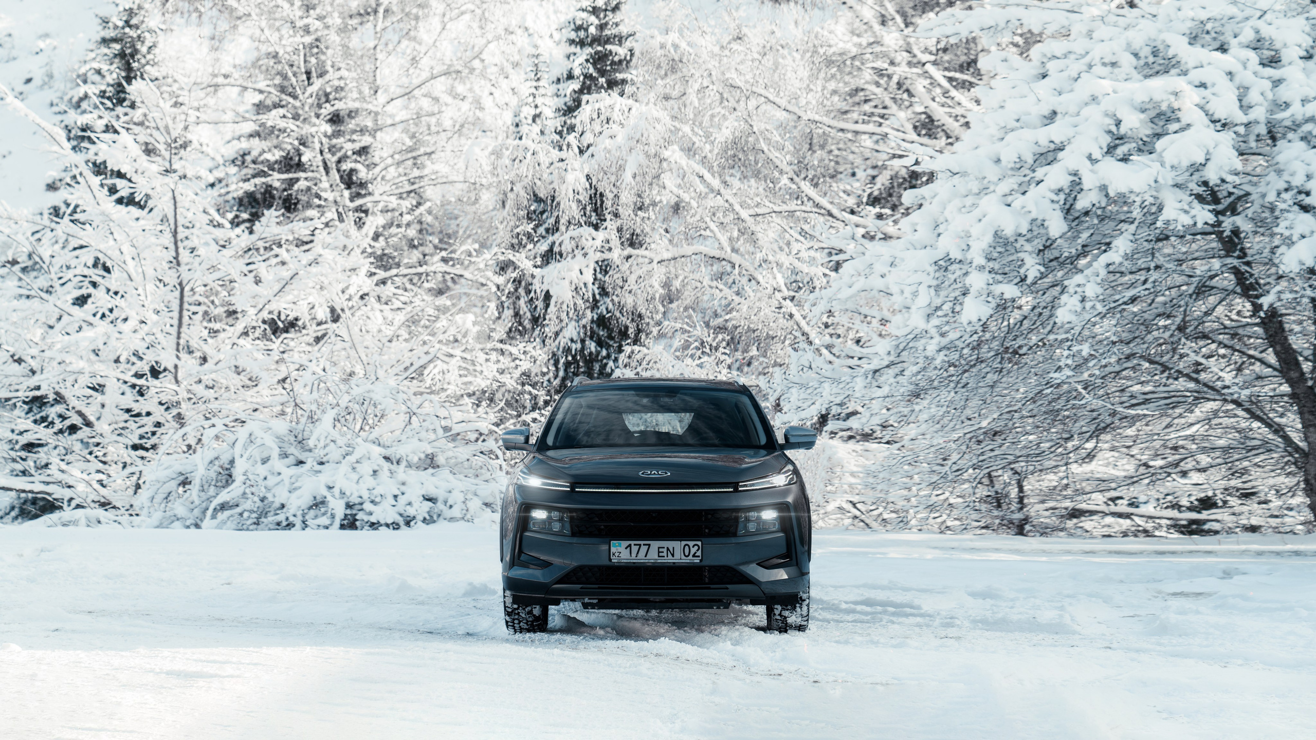 JAC. Фотограф TAULAN_1