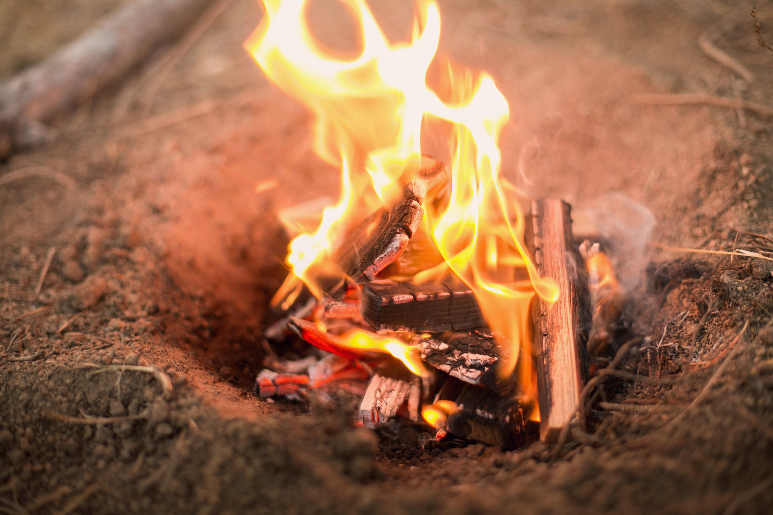 Легенды осени. Семейный и детский фотограф в Ростове-на-Дону Мария Курутина