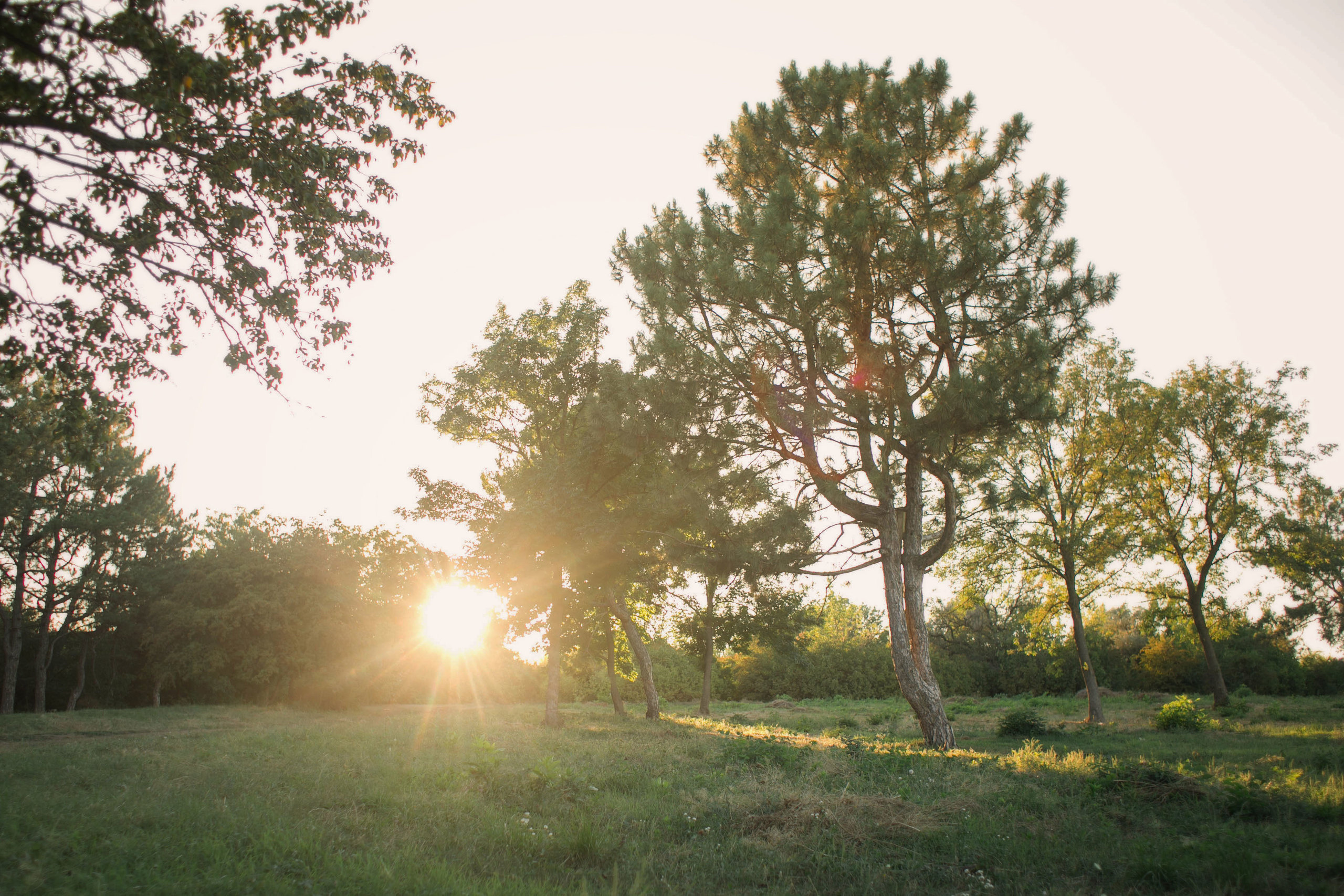 Лучше, чем мы…. Семейный и детский фотограф в Ростове-на-Дону Мария Курутина