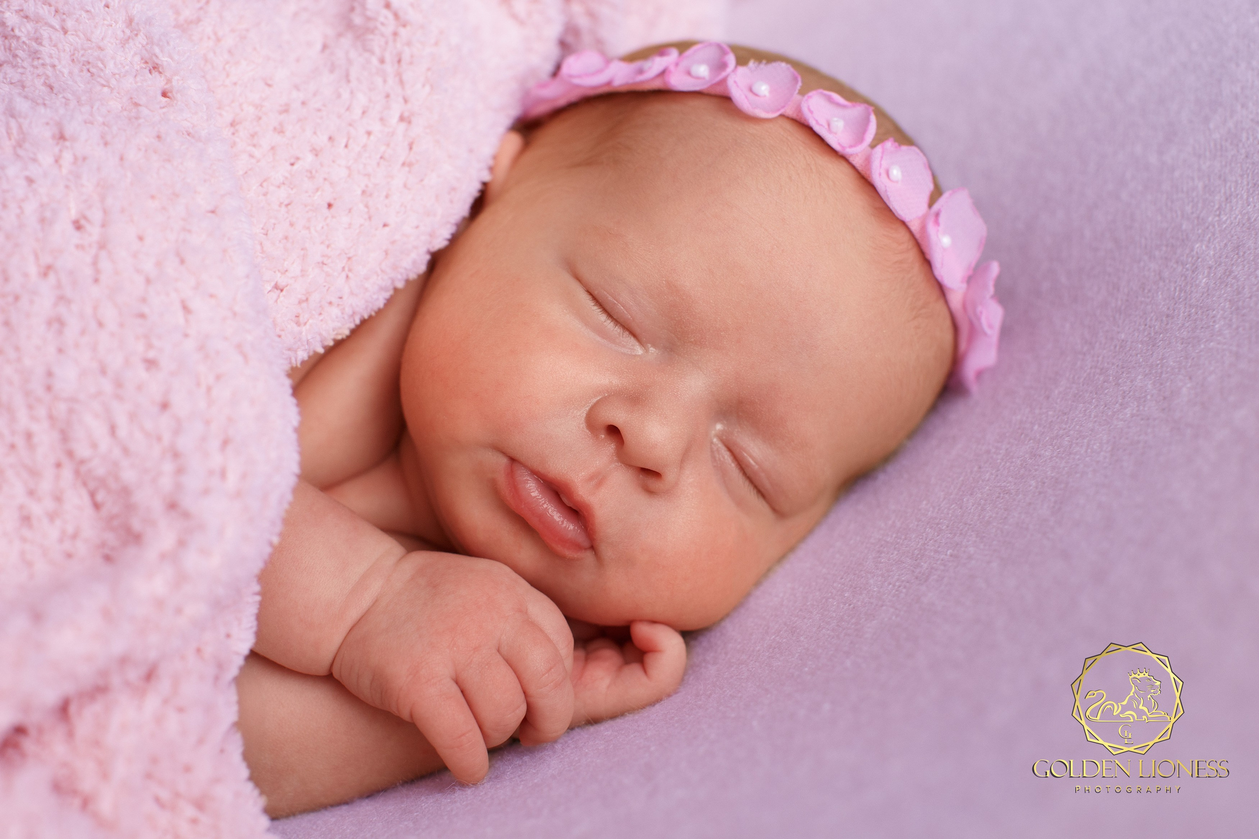 Галерея. GoldenLioness | Фотосессия новорожденных детей (newborn) Москва