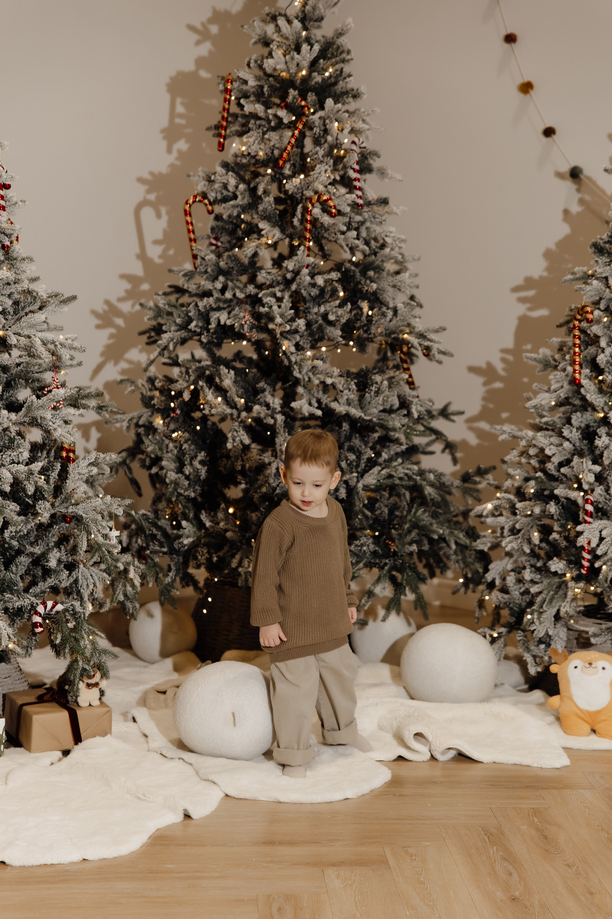 Валерий, Екатерина и Даня. Семейный и свадебный фотограф в Челябинске Мария Леонтьева