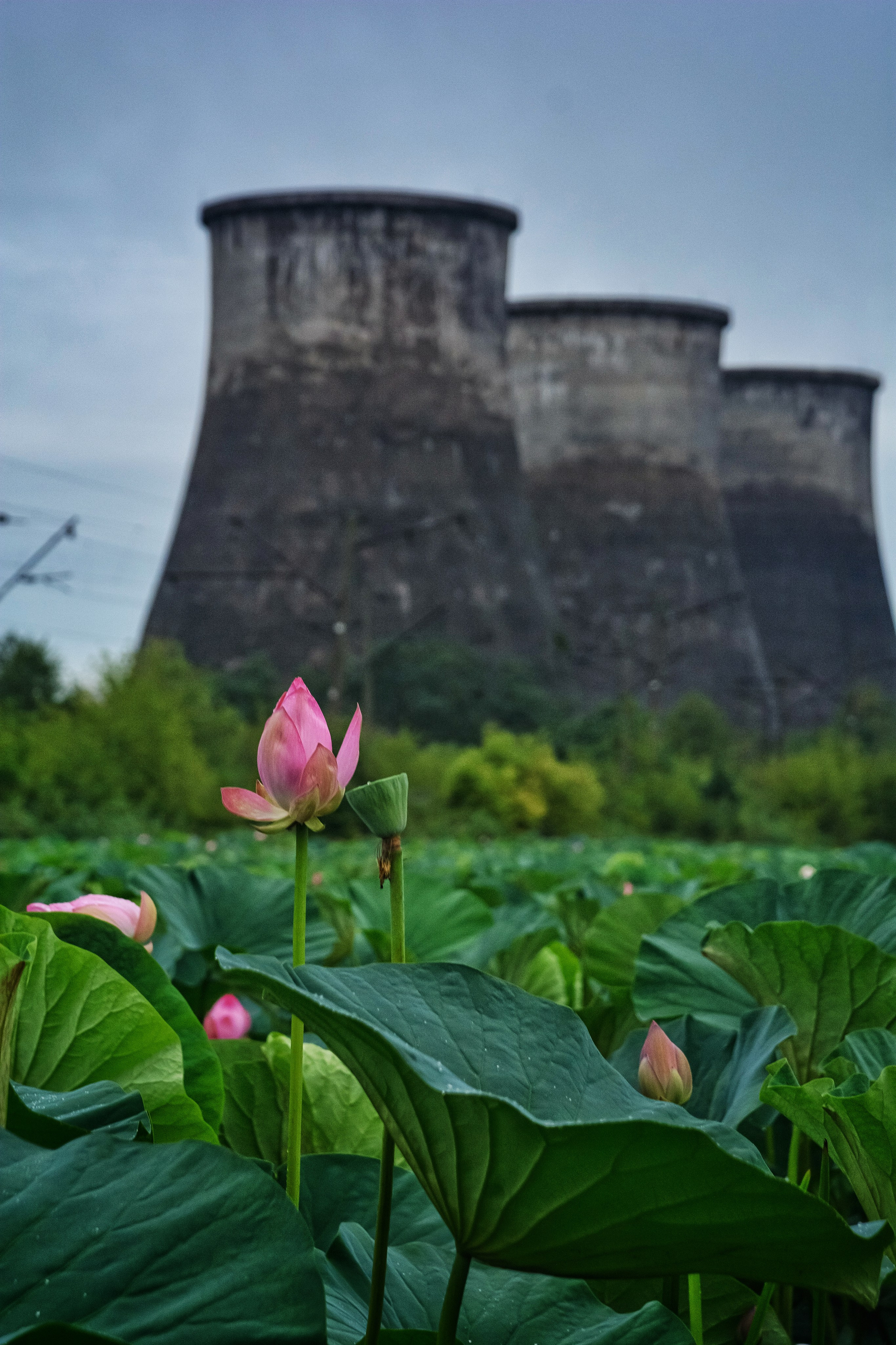 Пейзажи и дикая природа. Пейзажный и репортажный фотограф