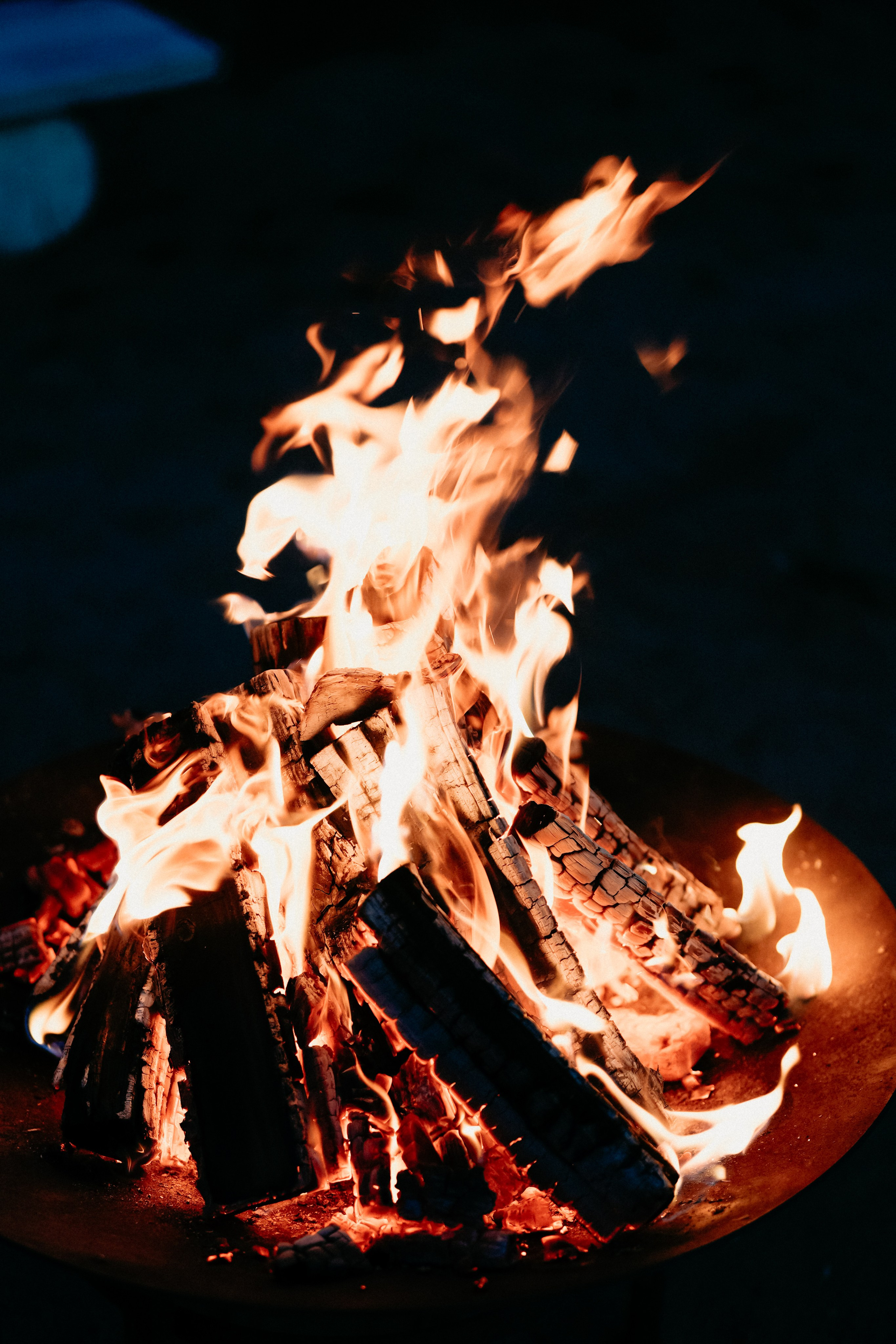 Garda Fest. Фотограф в Москве Дмитрий Рогов