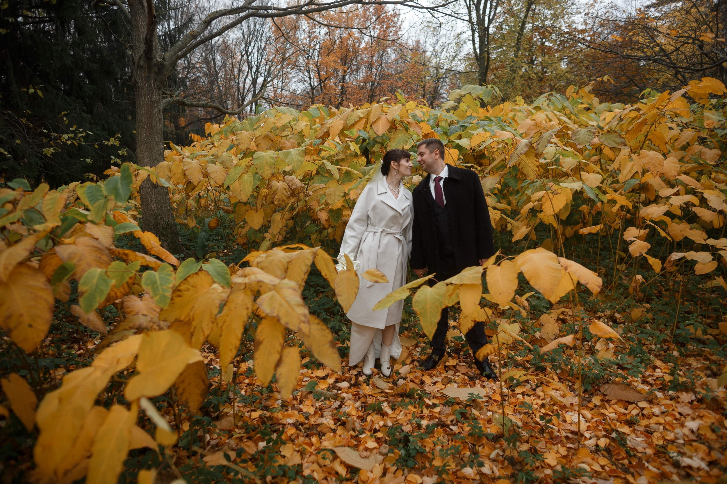 Свадьба в октябре. Свадебный фотограф Игорь Брундасов 8PHOTO на свадьбу венчание загс СПб