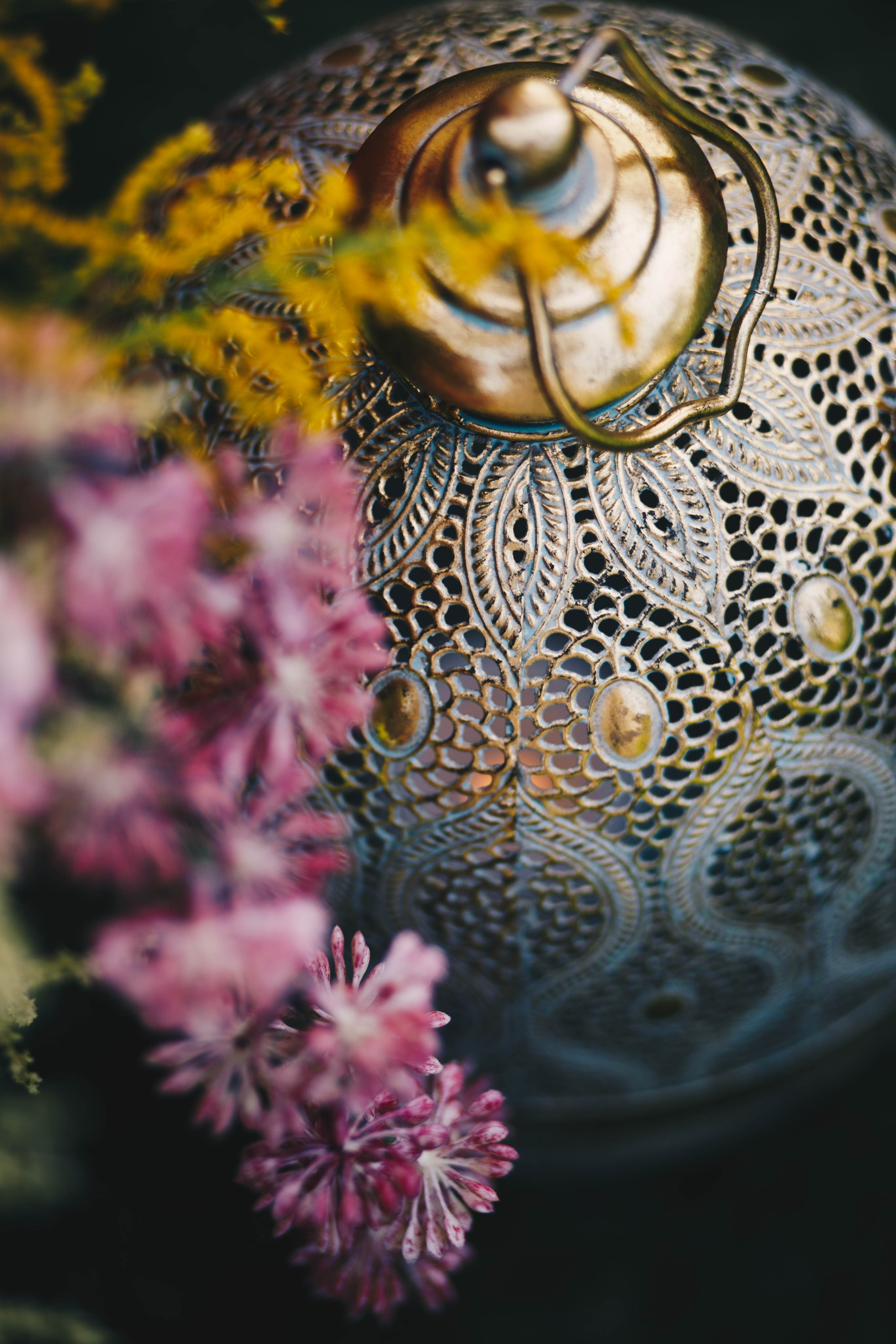 ВИВАХА. Фотограф Лебедева Наталья