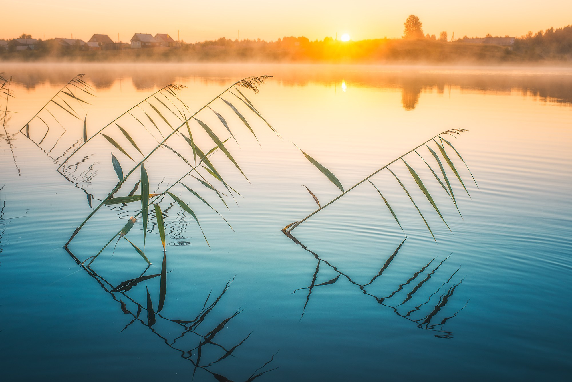 Пейзаж. Аэросъемка в Архангельске, Александр Ермолин