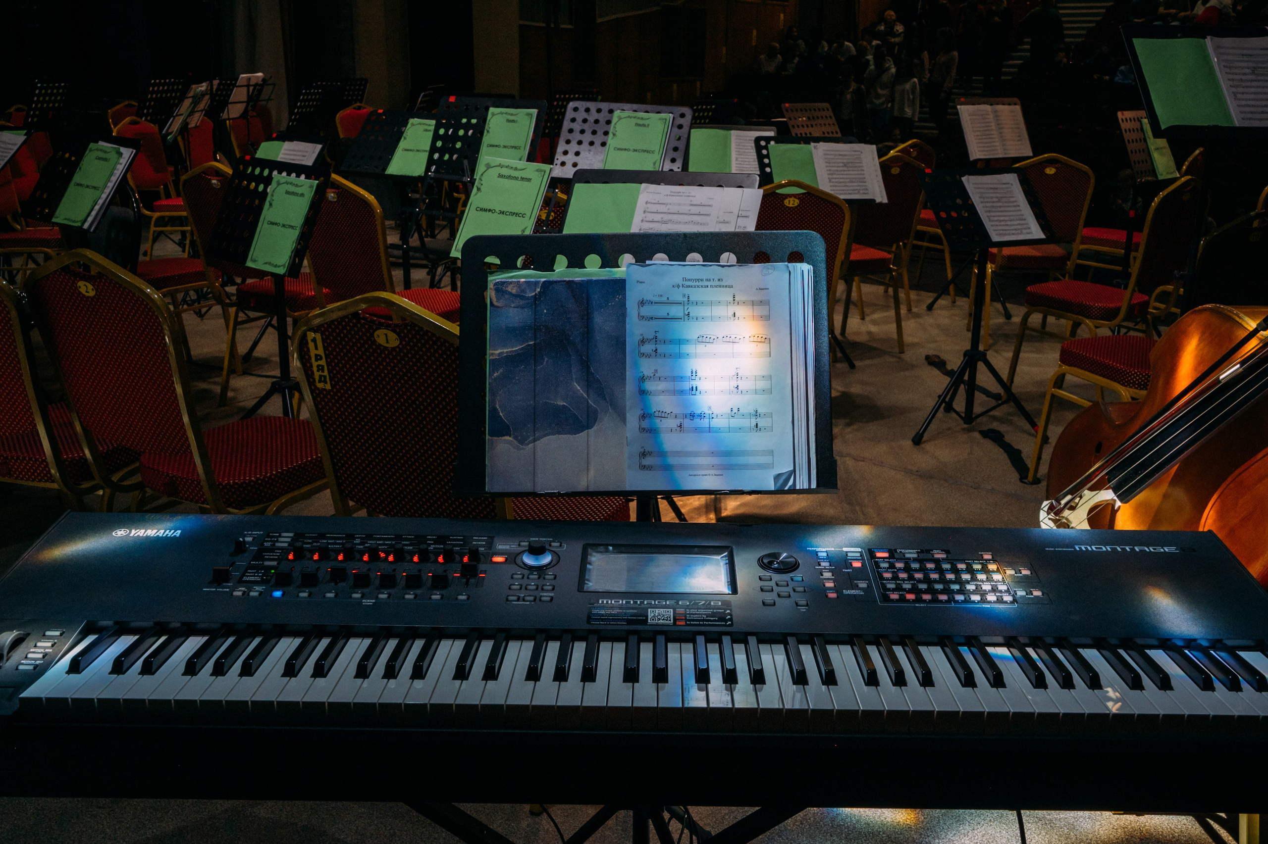 Симфонический оркестр. Фотограф в Волгограде Марина Черных