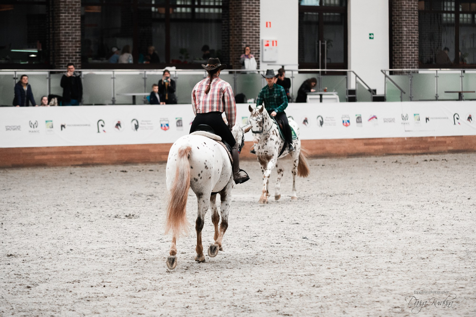8-я международная выставка Конная Россия. Конный фотограф Куракина Дарья • Фотосессии с лошадьми