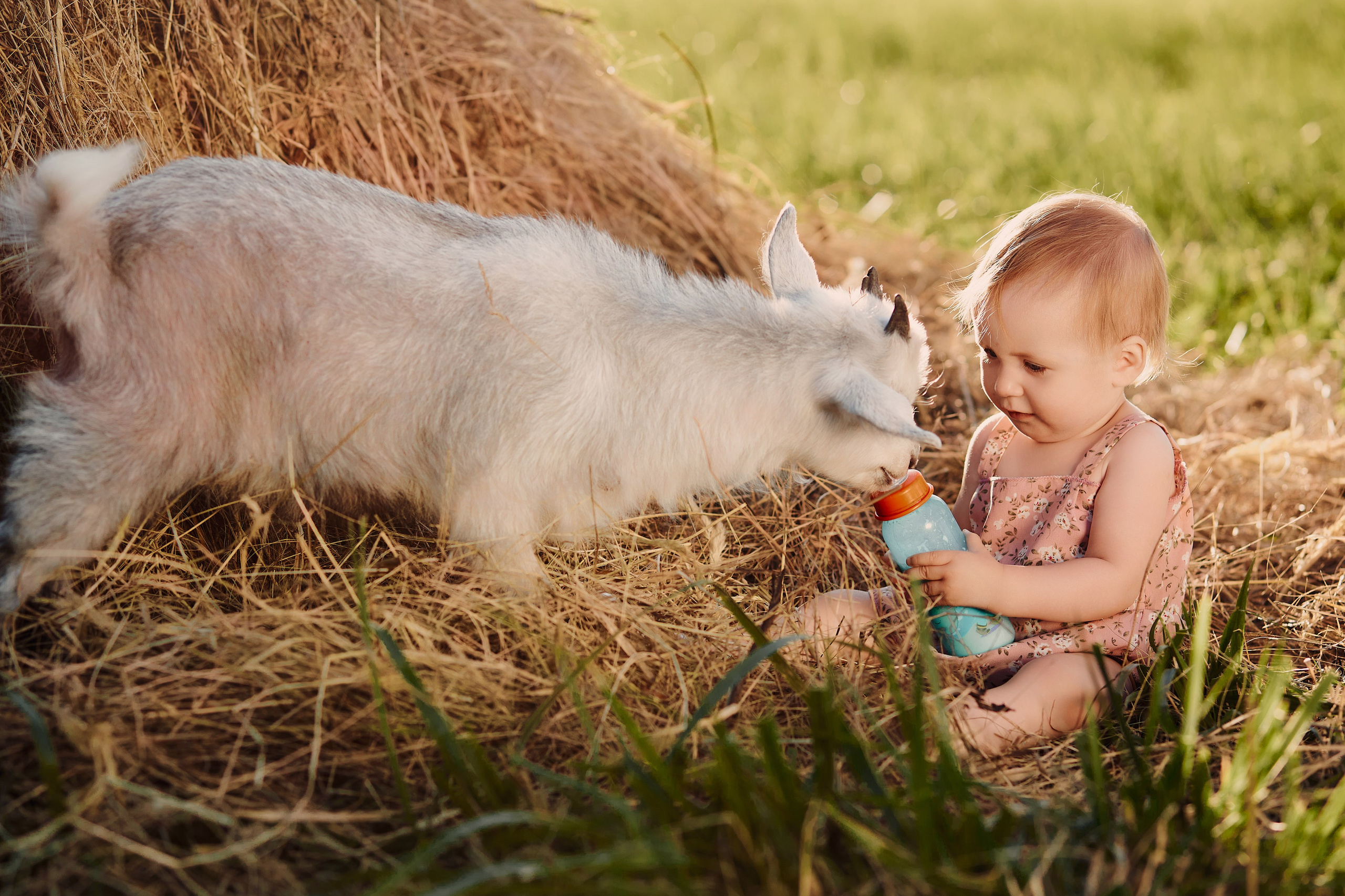 Андрей, Катя, Дима и Настя. Свадебный фотограф Чайковский