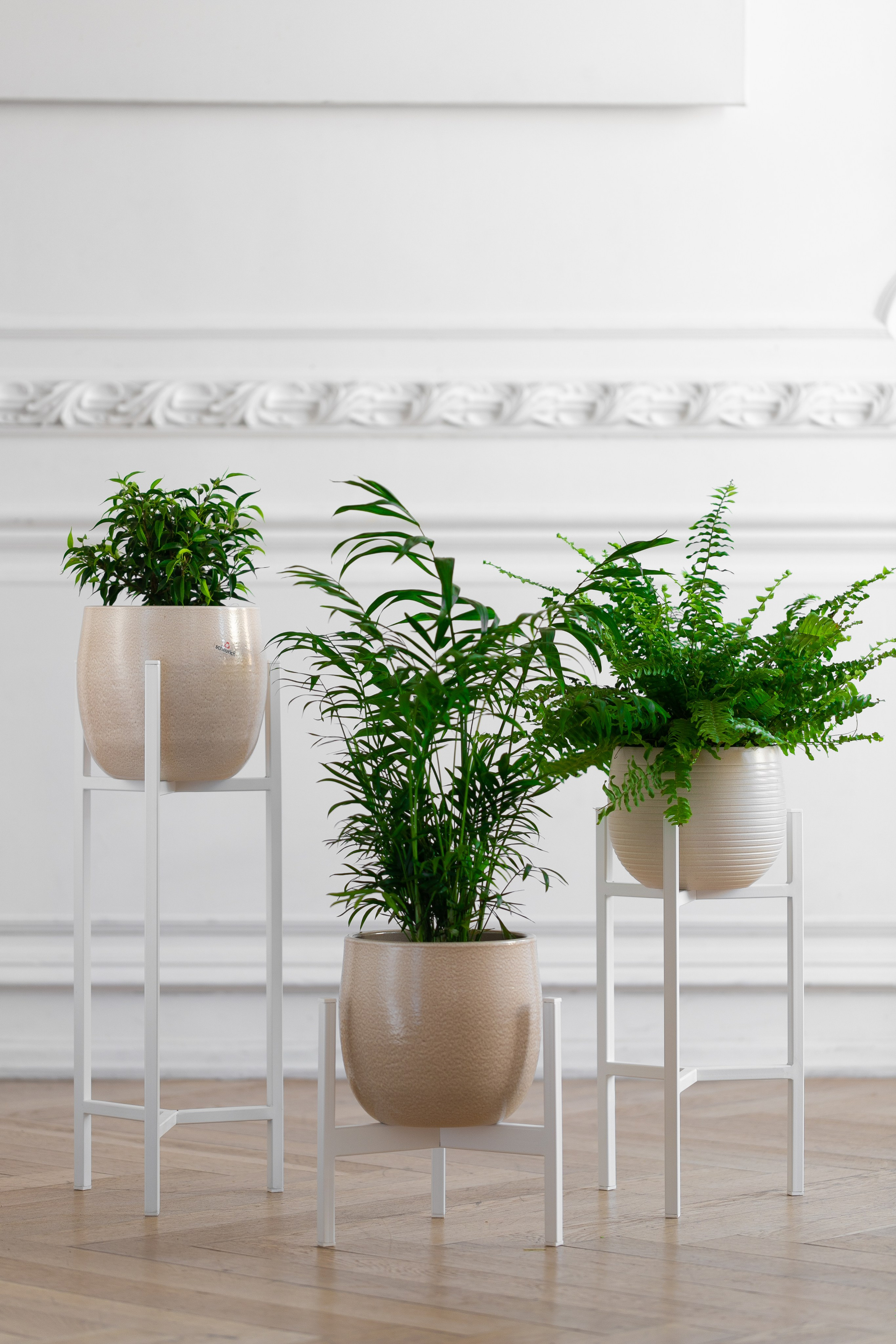 GREENWEEN. Дизайнерская мебель. Интерьерный фотограф и видеограф в Санкт-Петербурге Вадим Балбашевский