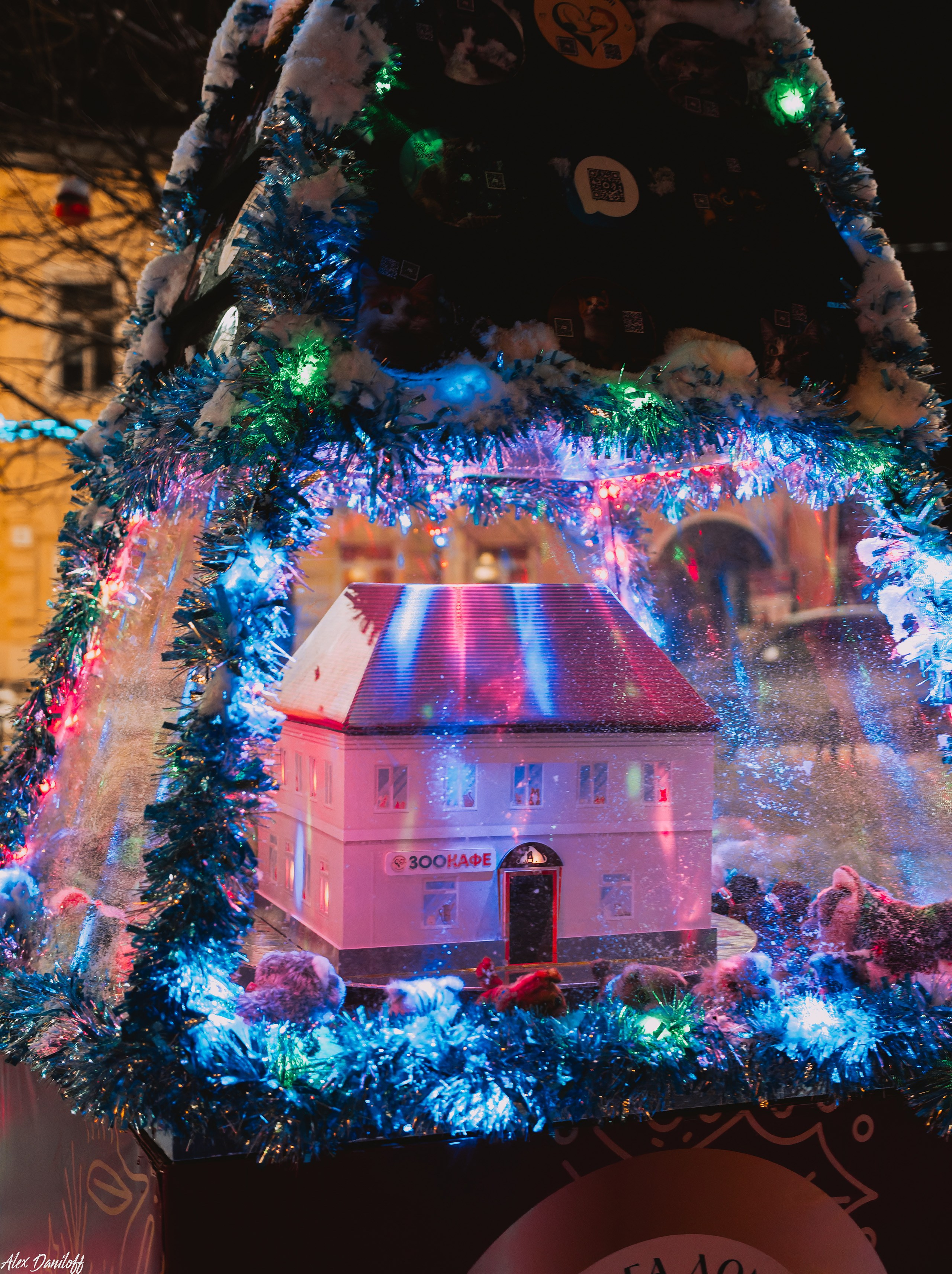 Елки 2025. Муром-Инфо. Новости культуры, образования, спорта в городе Муром