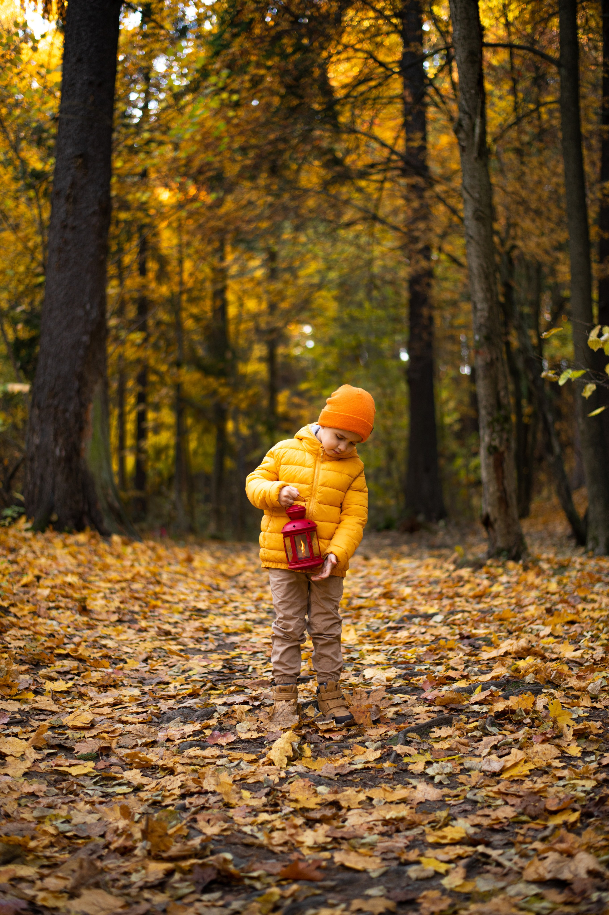 Осень в Шуваловском парке. Фотограф Санкт-Петербург | Дарья Першина