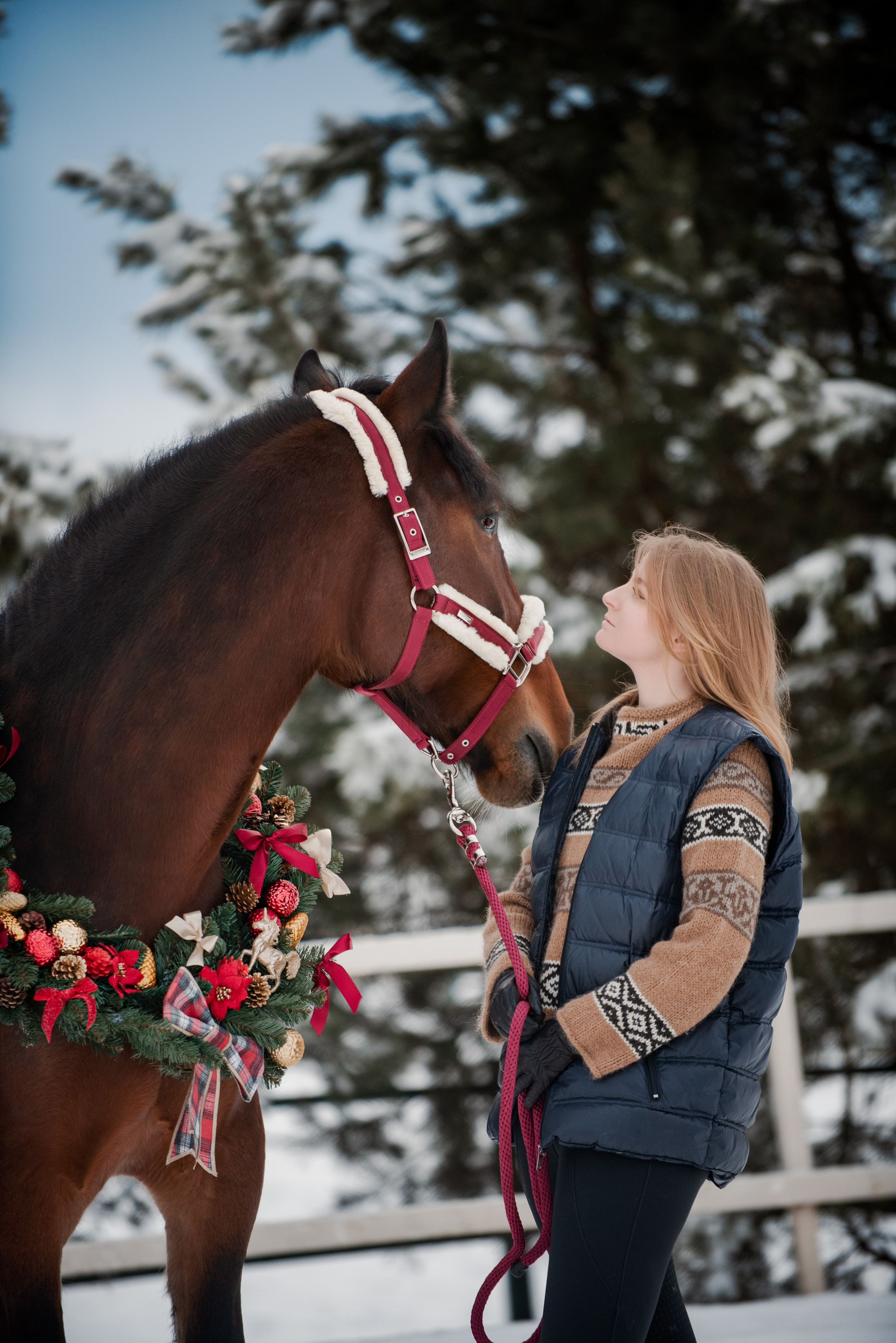 Зимний Настасьин табун. Куракина Дарья • Конный фотограф