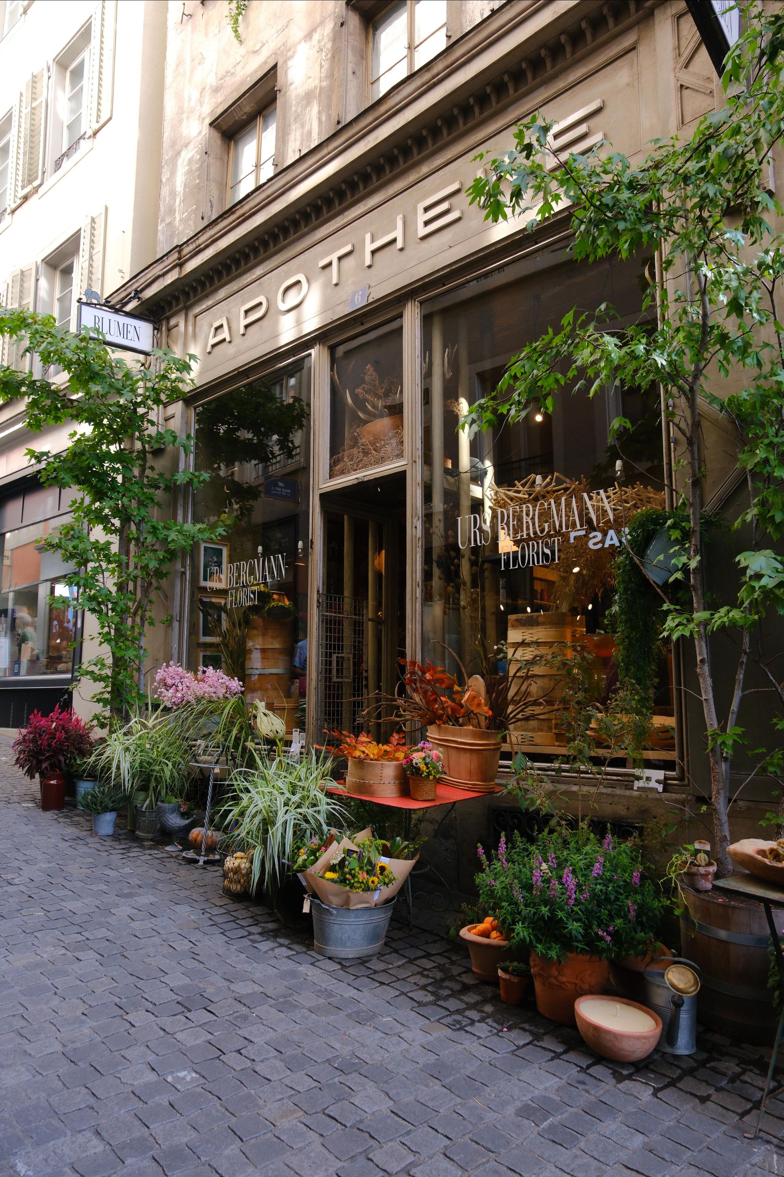 Street. Elena Harlaut Photographer