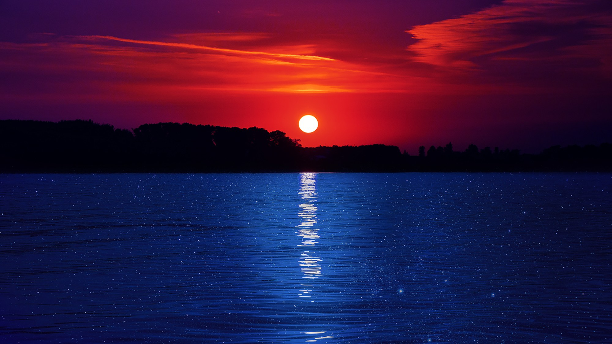 Попкова Виктория фотограф