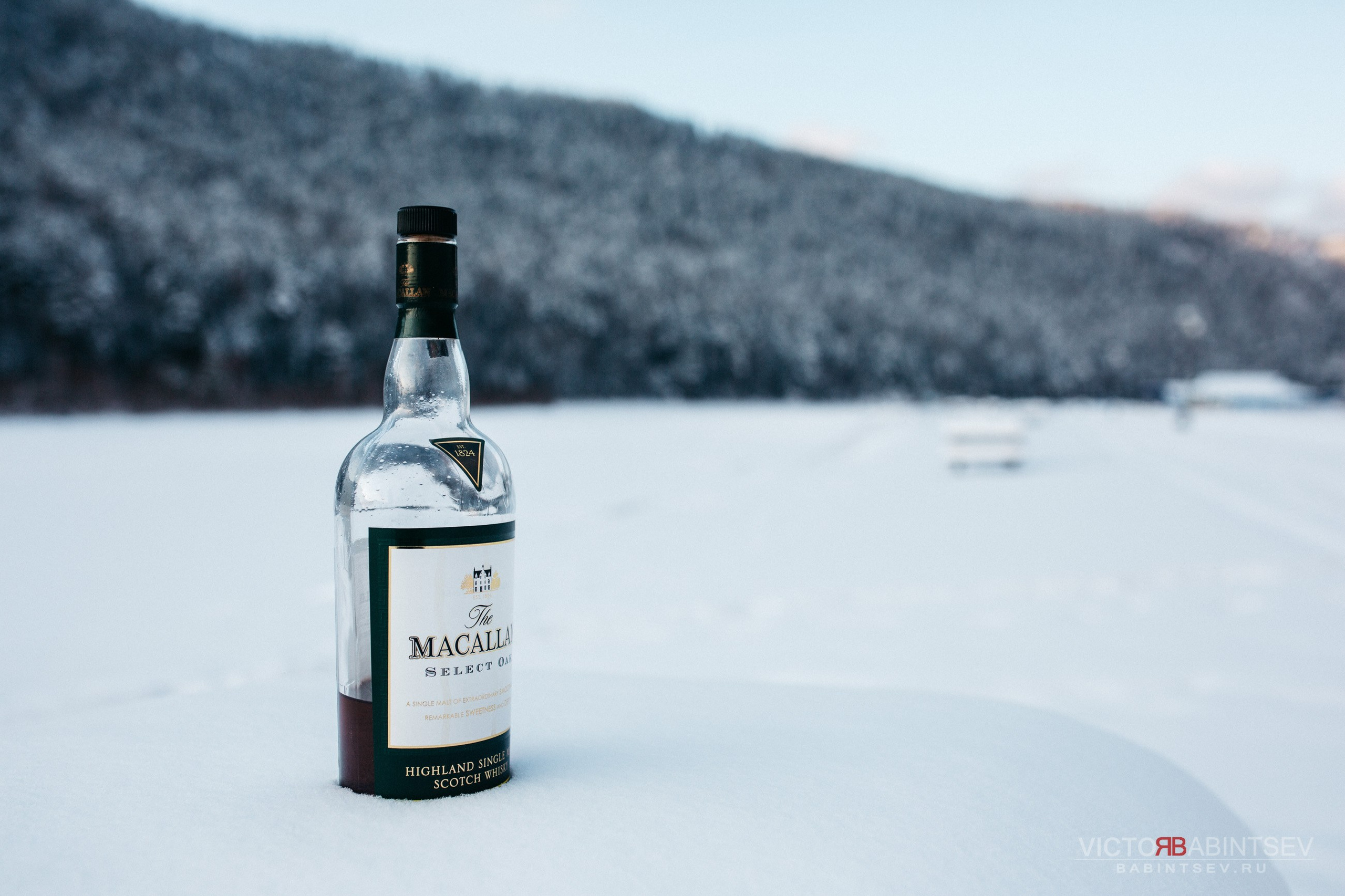 Whisky. Семейный и репортажной фотограф в Красноярске и Москве Виктор Бабинцев