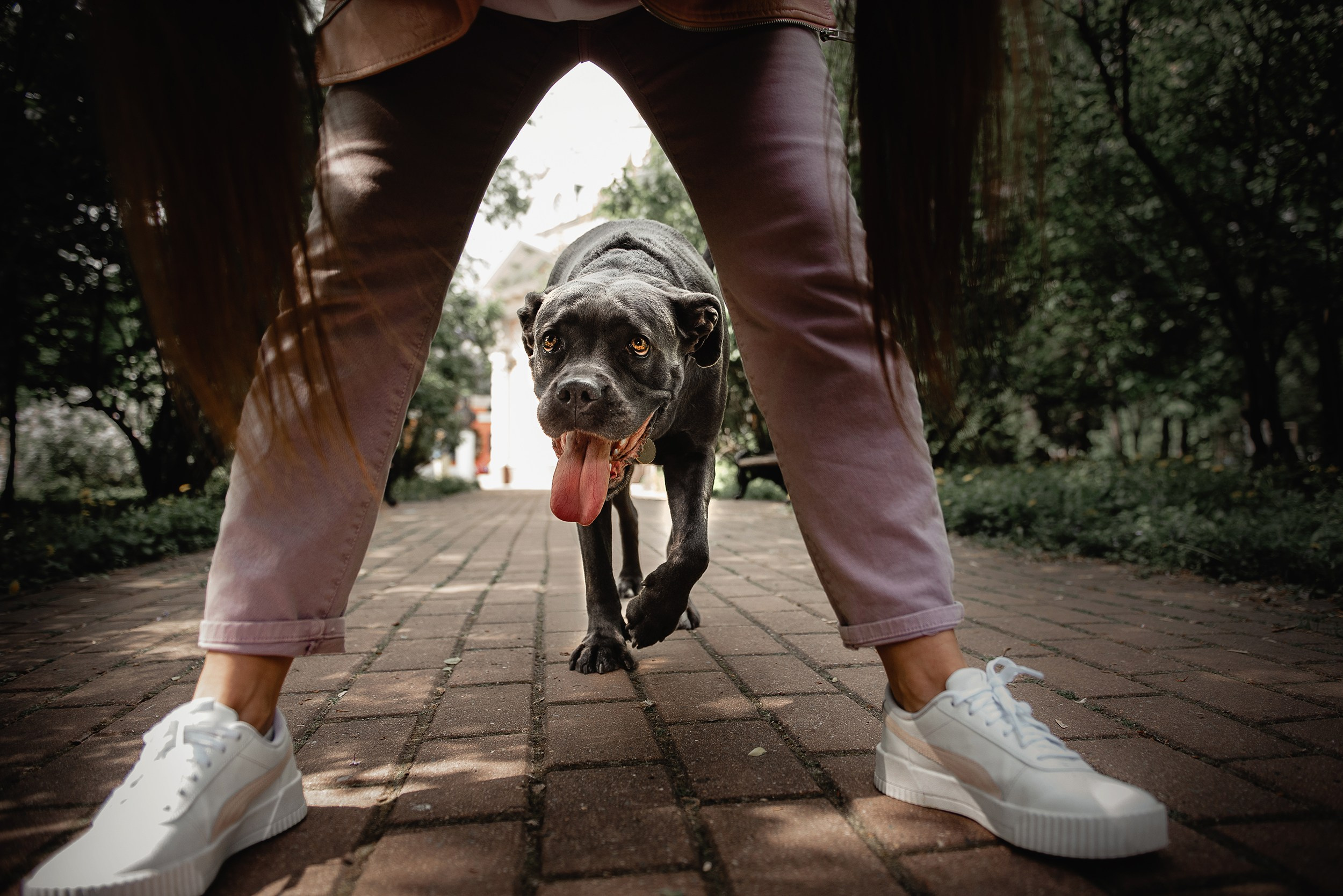 Кристина и Тея. Семейный Фотограф в Москве Ирина Хохлова